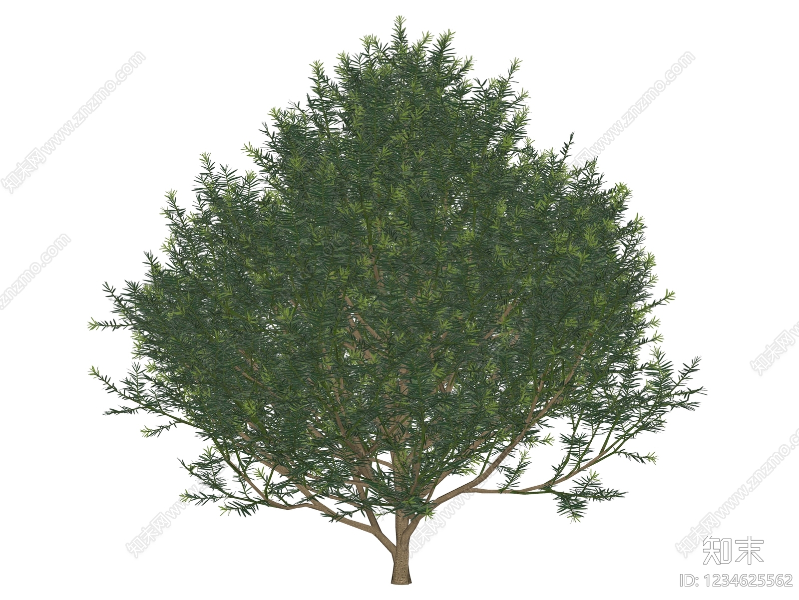 灌木SU模型下载【ID:1234625562】
