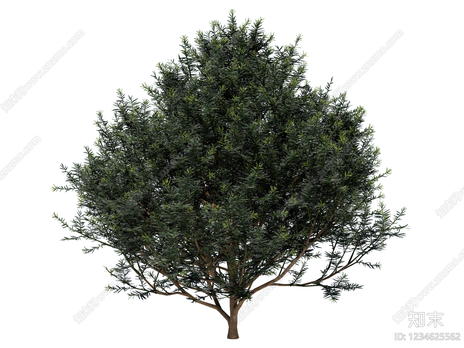 灌木SU模型下载【ID:1234625562】