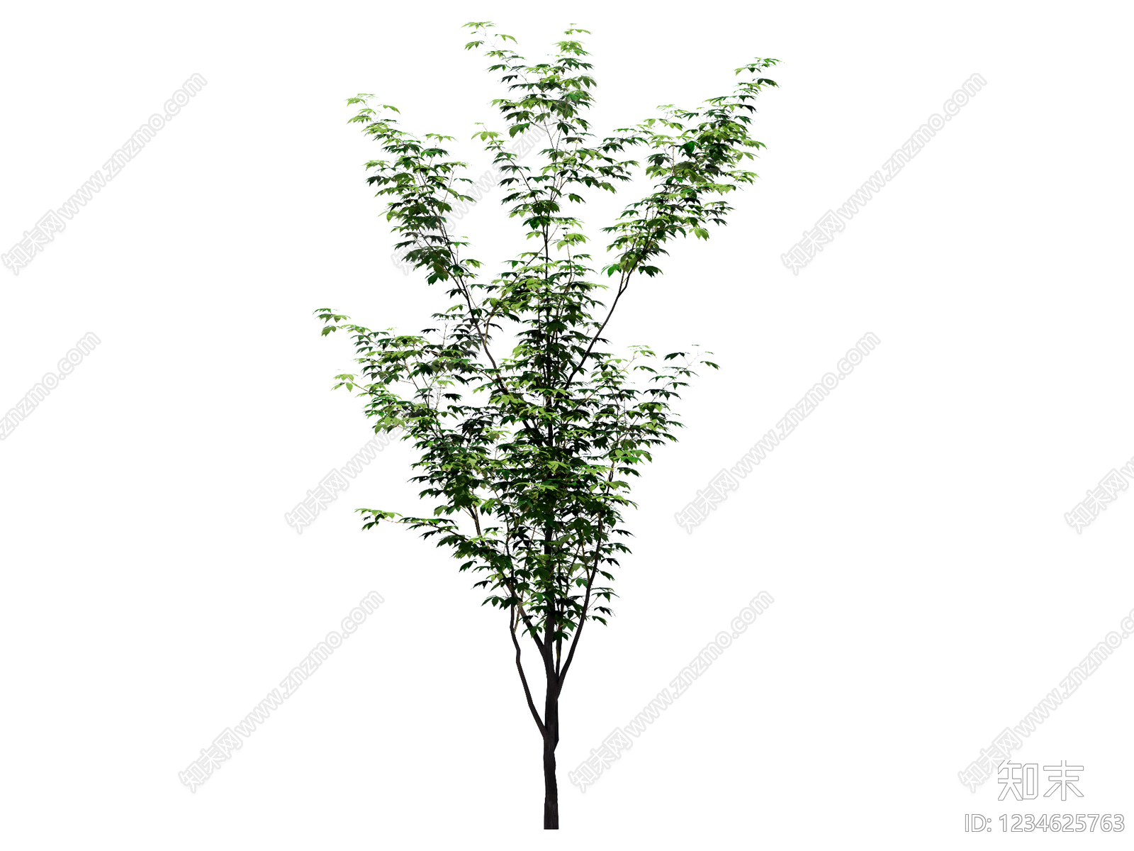 乔木SU模型下载【ID:1234625763】