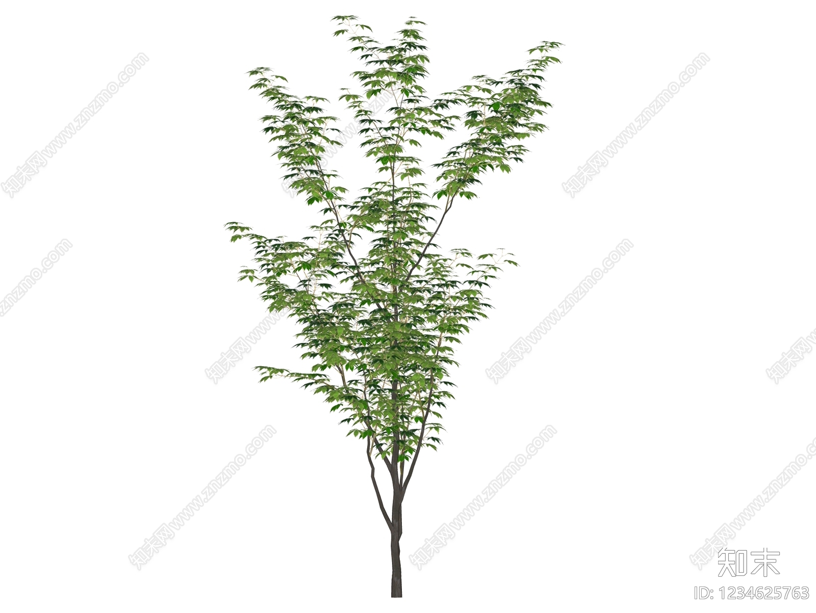 乔木SU模型下载【ID:1234625763】