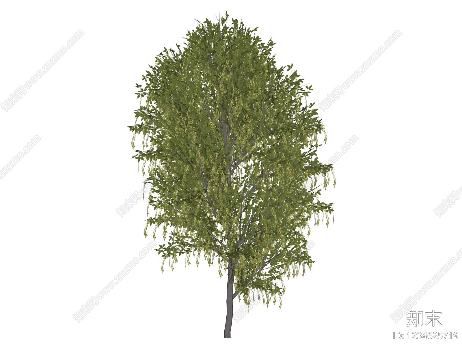 乔木SU模型下载【ID:1234625719】