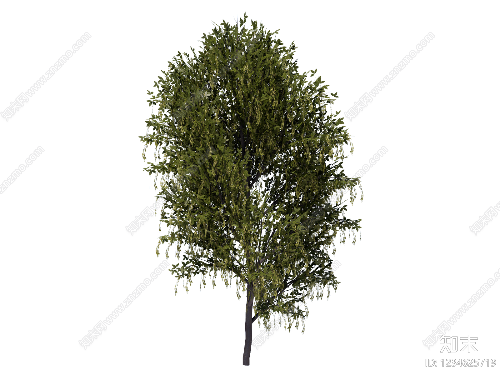 乔木SU模型下载【ID:1234625719】