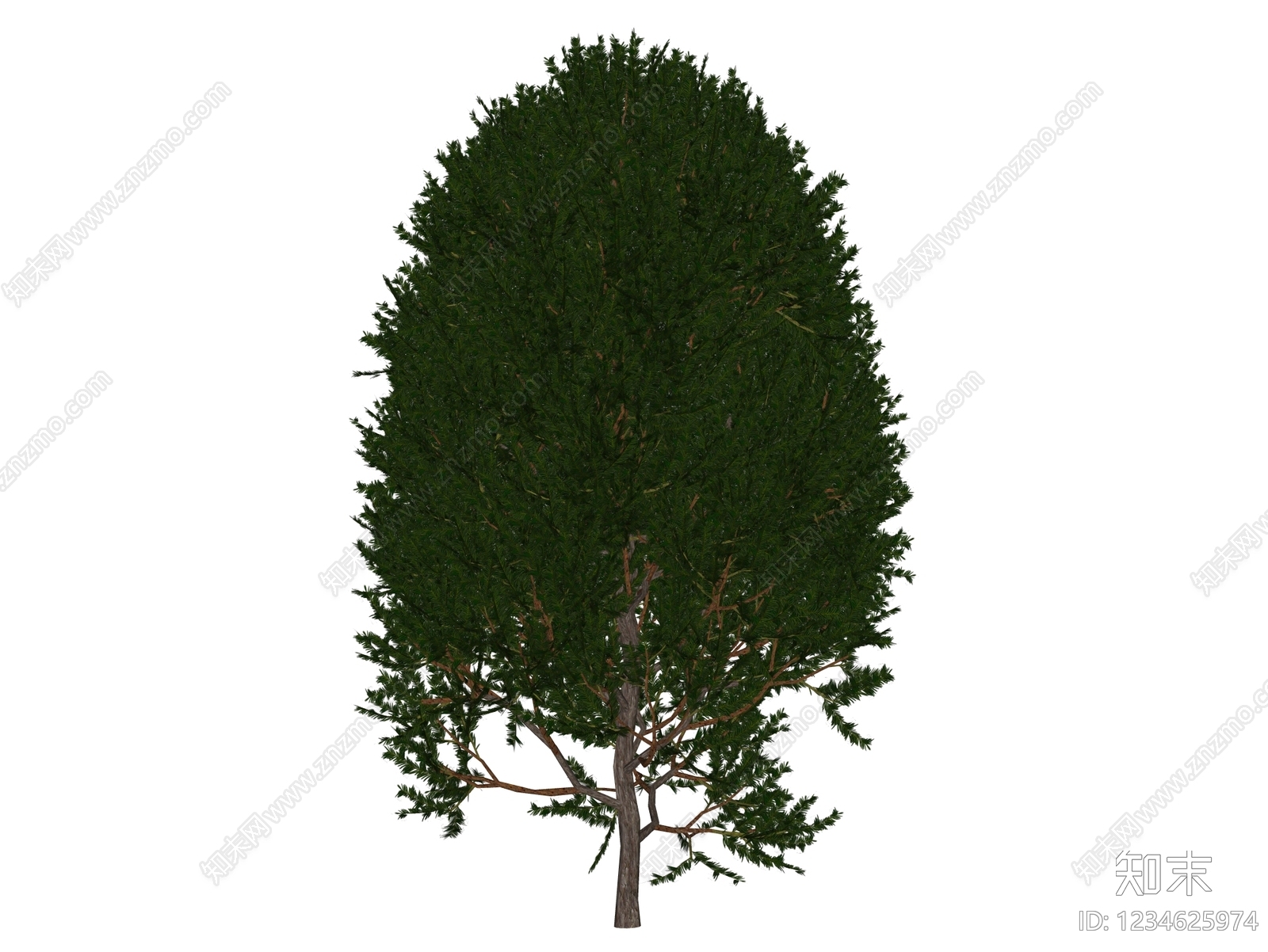 乔木SU模型下载【ID:1234625974】