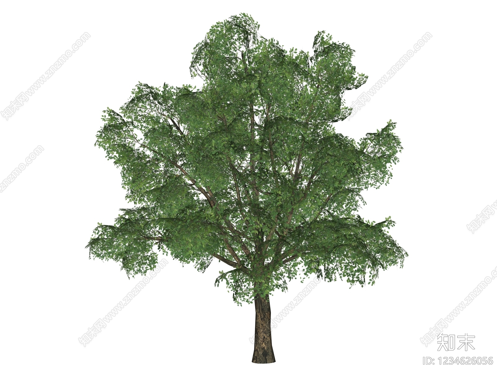 乔木SU模型下载【ID:1234626056】
