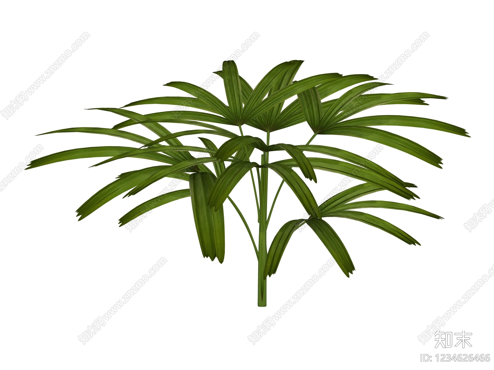 草本植物SU模型下载【ID:1234626466】