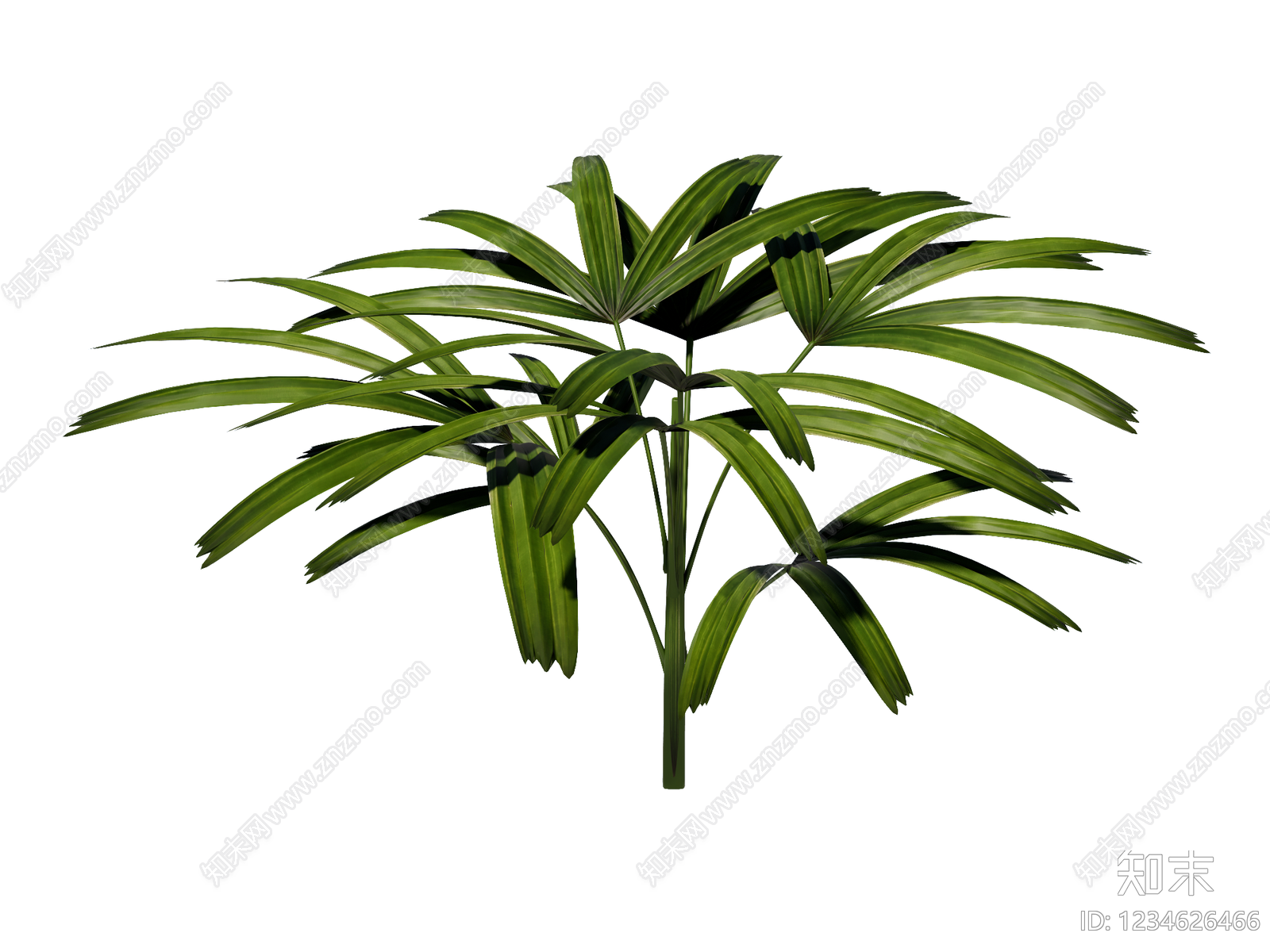 草本植物SU模型下载【ID:1234626466】