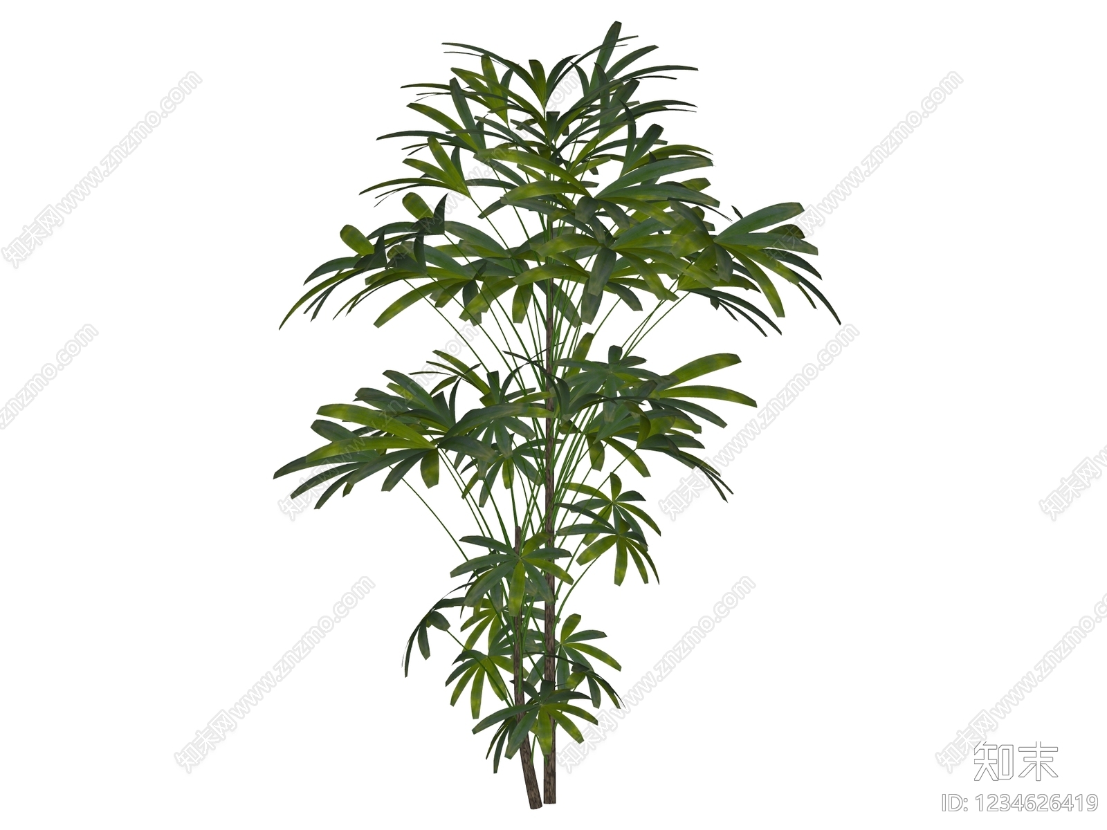 灌木SU模型下载【ID:1234626419】