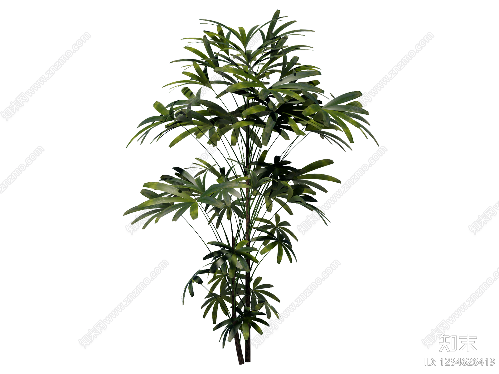 灌木SU模型下载【ID:1234626419】