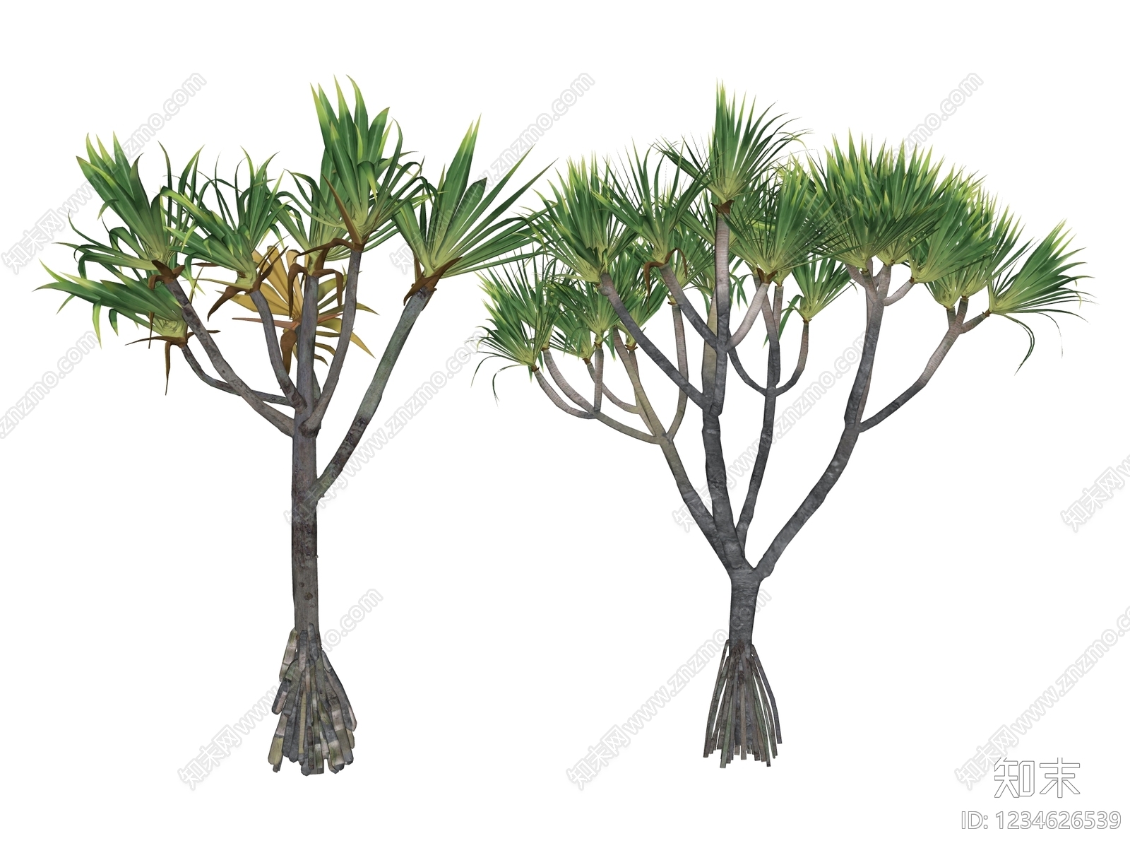 乔木SU模型下载【ID:1234626539】
