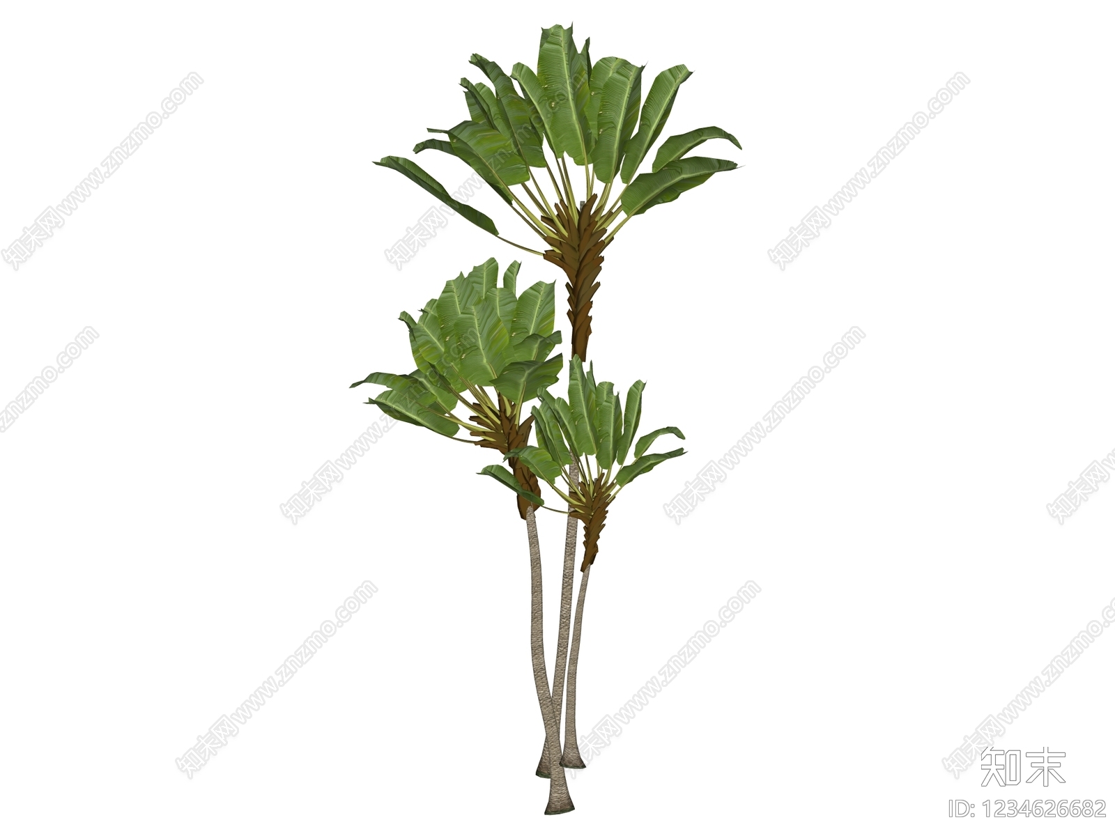 乔木SU模型下载【ID:1234626682】