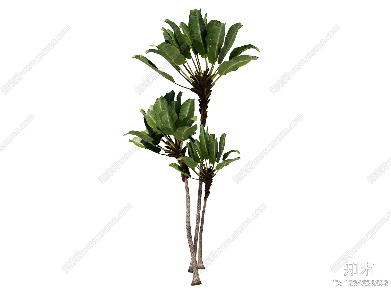 乔木SU模型下载【ID:1234626682】