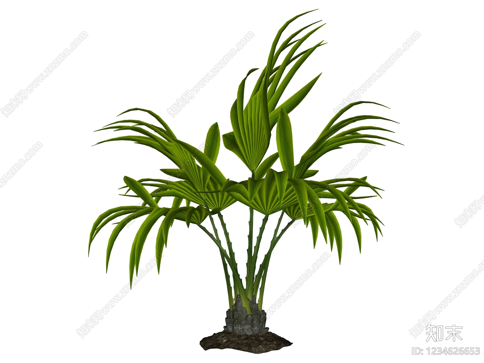 草本植物SU模型下载【ID:1234626653】