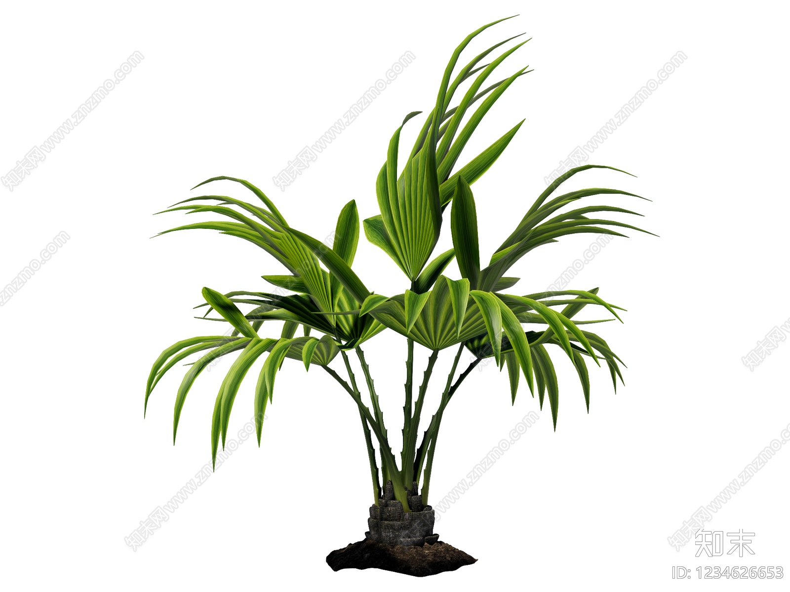 草本植物SU模型下载【ID:1234626653】