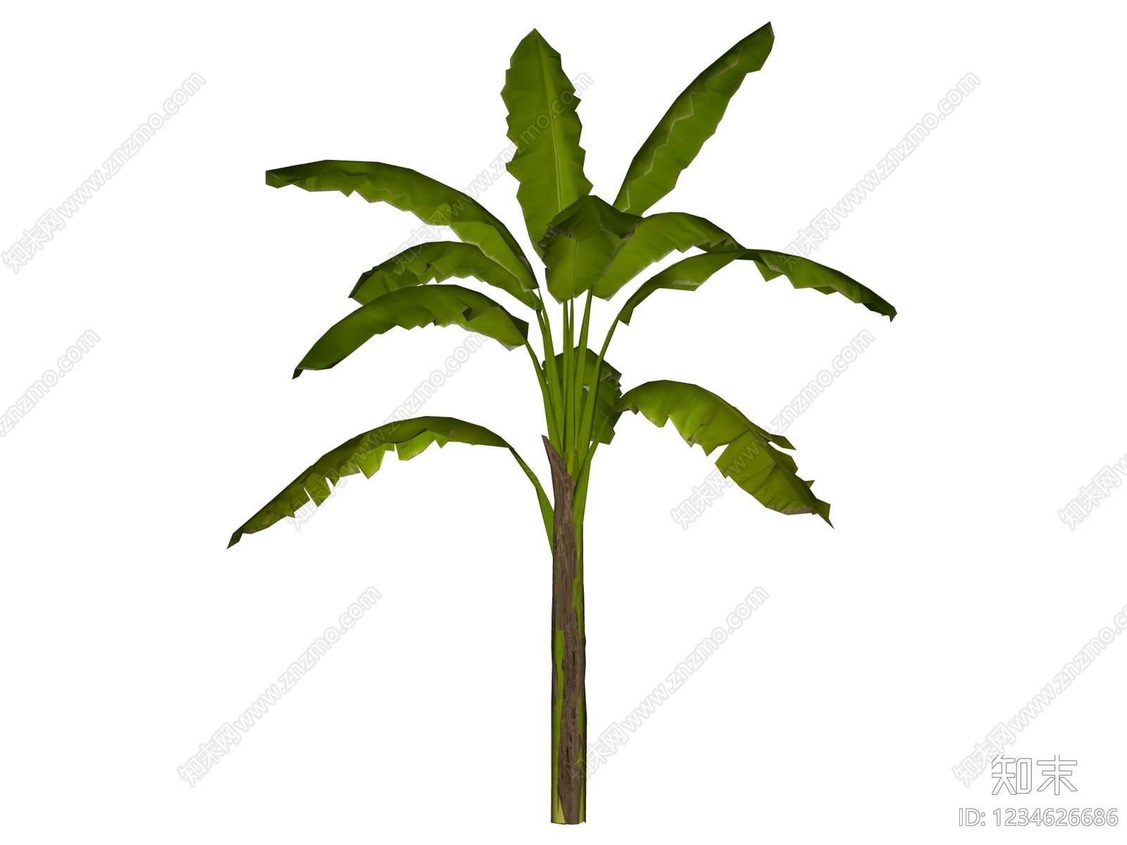 草本植物SU模型下载【ID:1234626686】