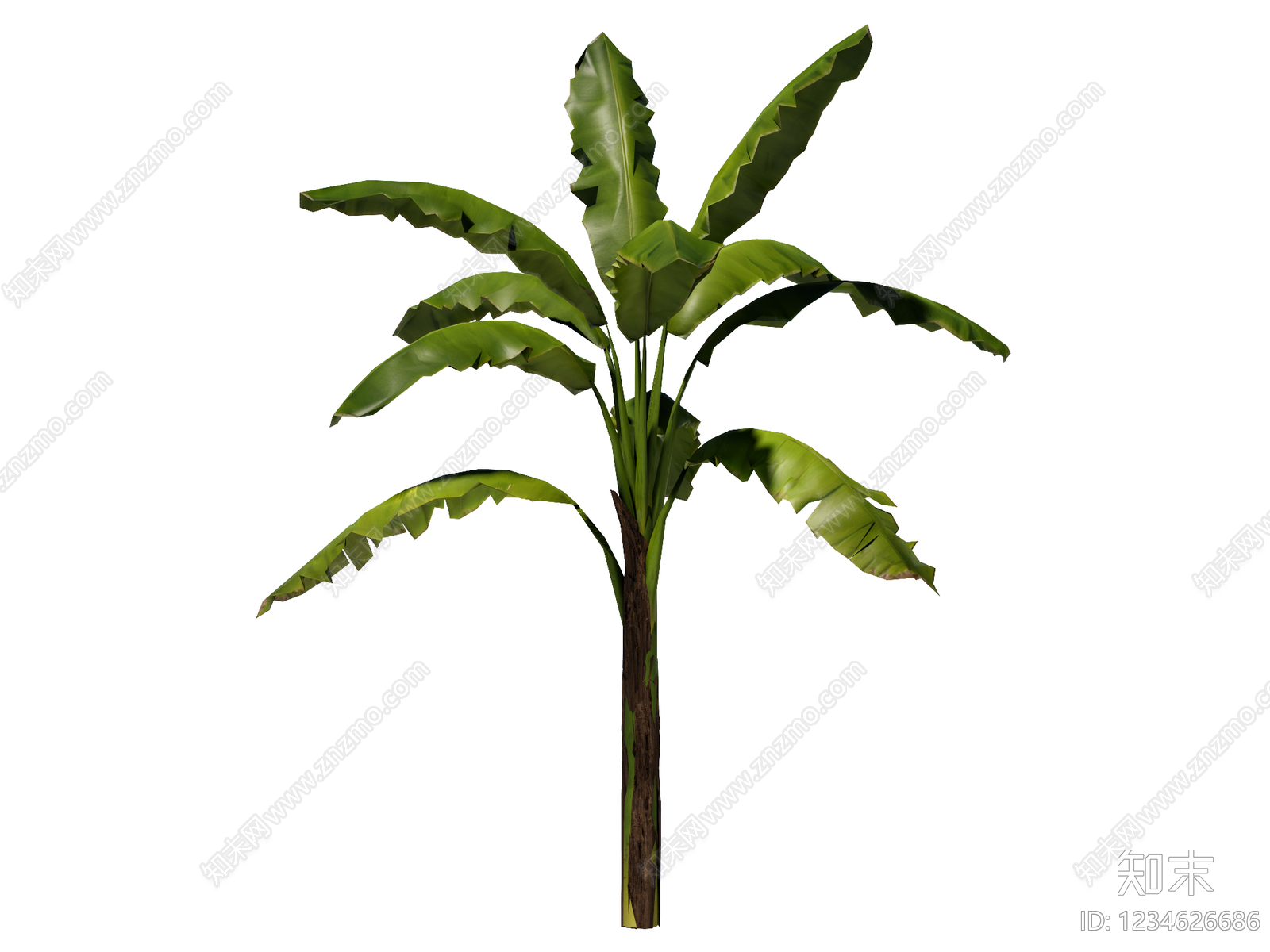草本植物SU模型下载【ID:1234626686】