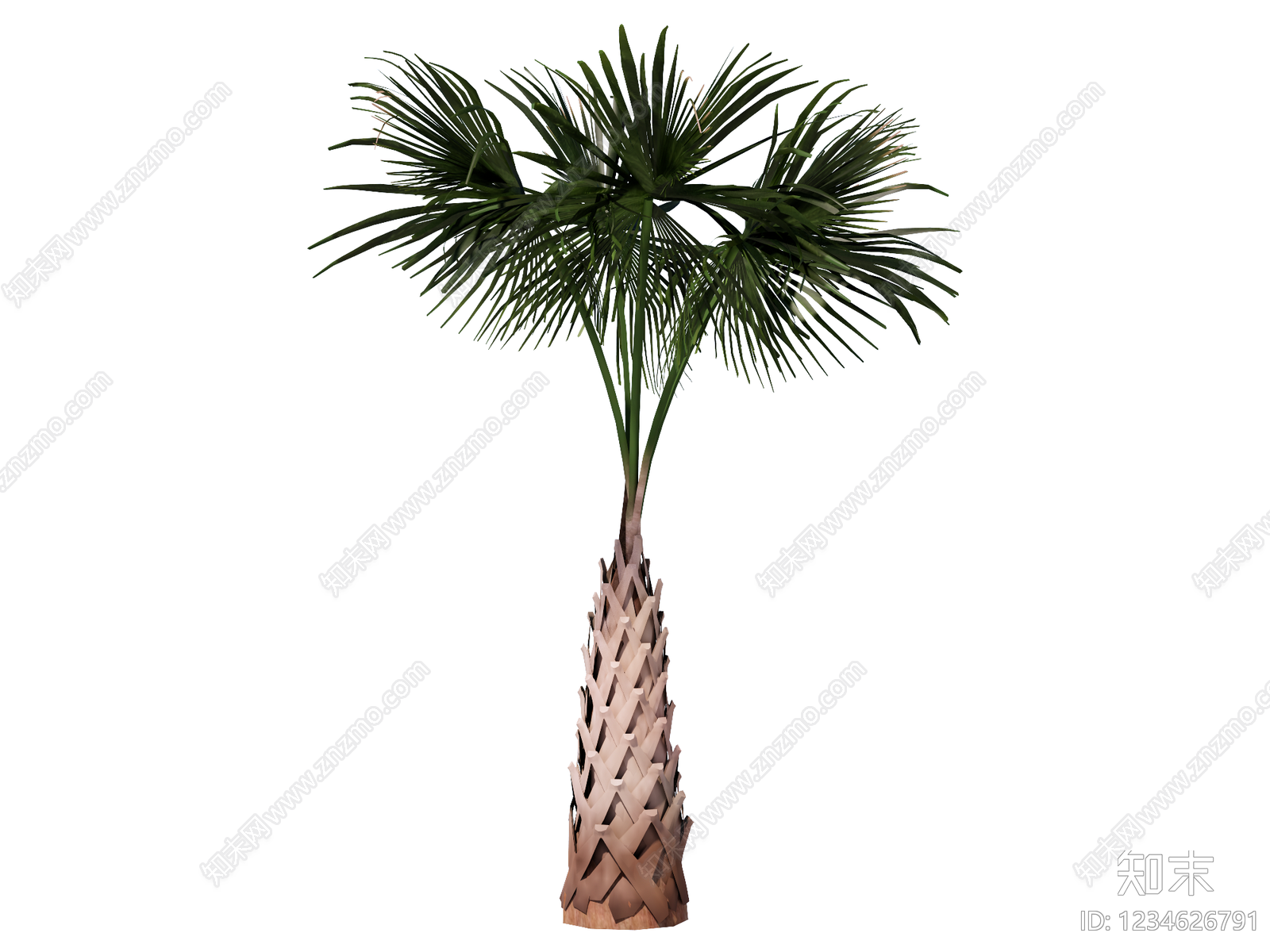 乔木SU模型下载【ID:1234626791】