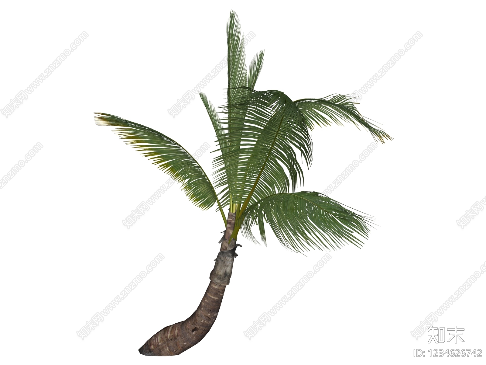 乔木SU模型下载【ID:1234626742】