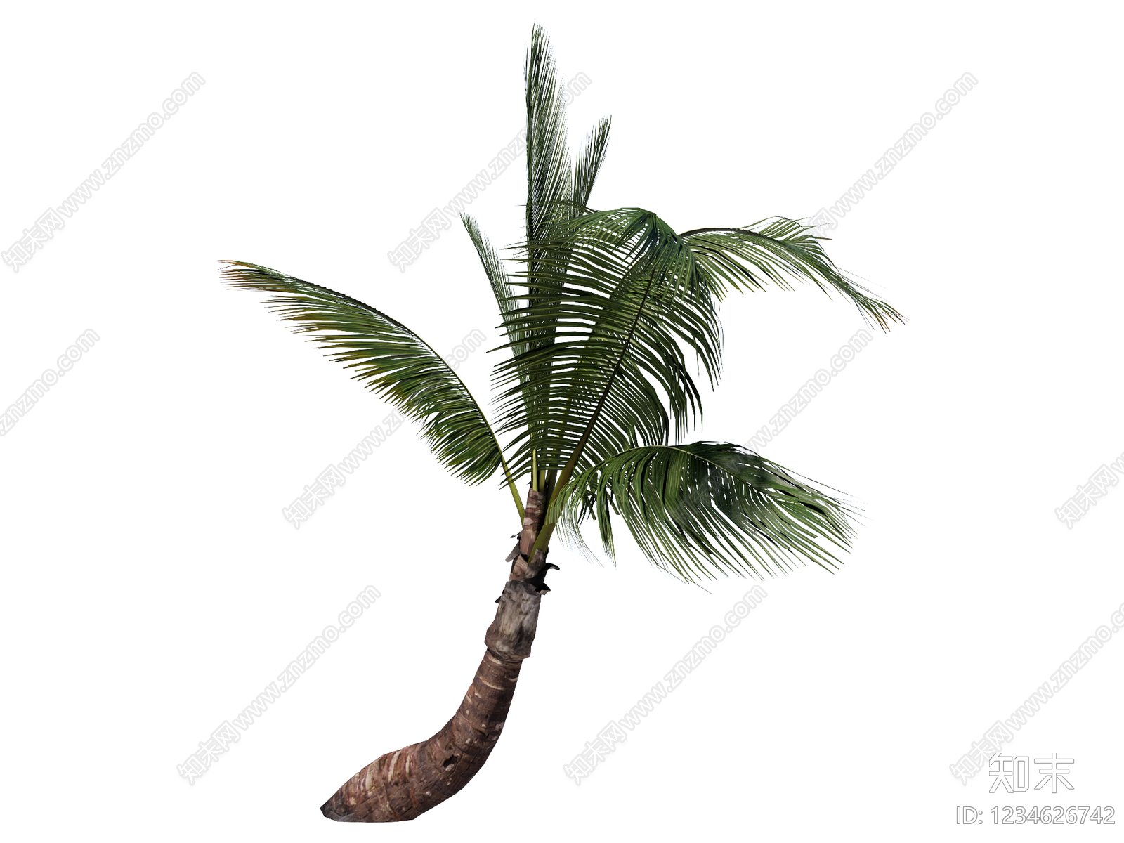 乔木SU模型下载【ID:1234626742】