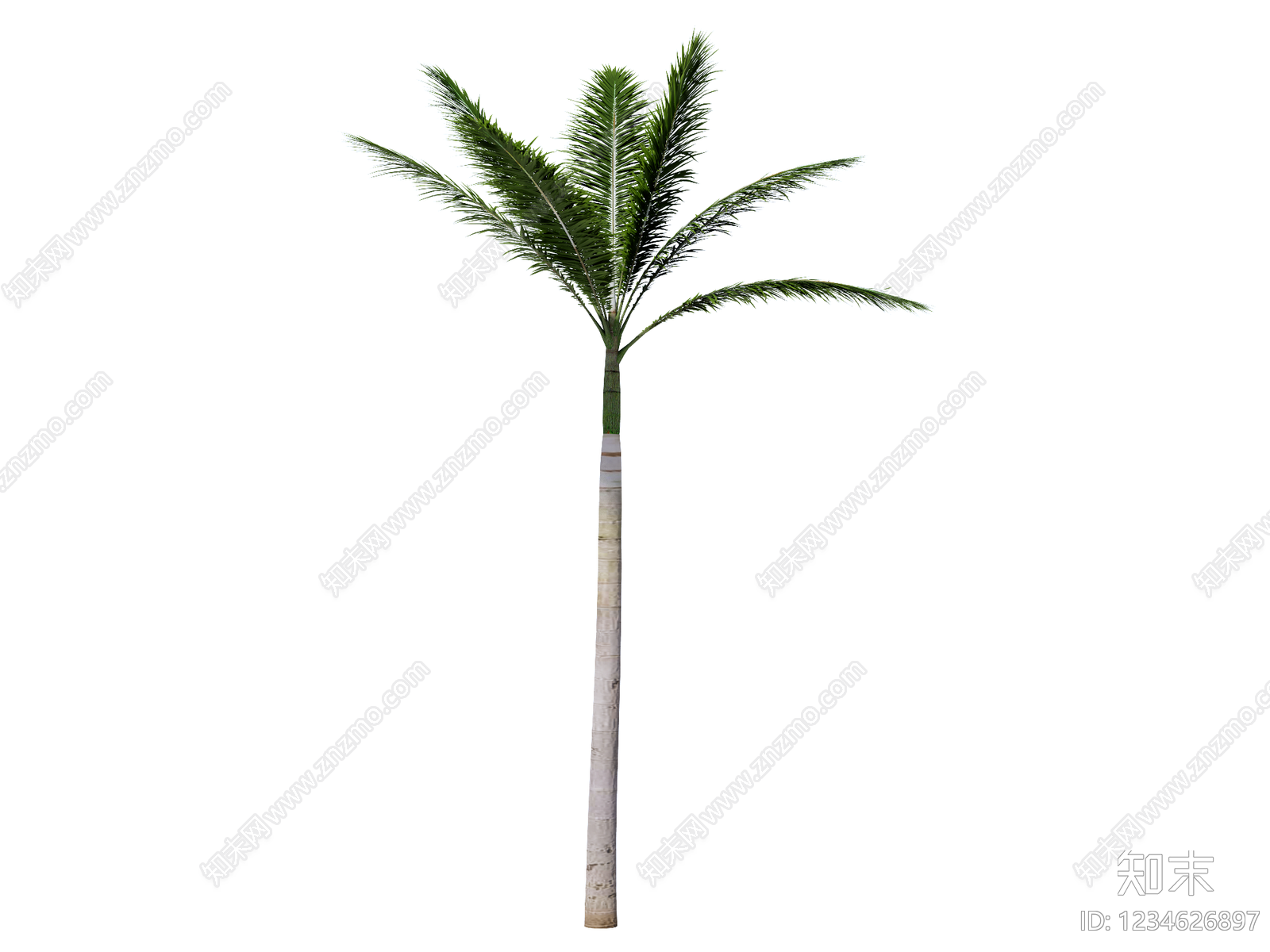 乔木SU模型下载【ID:1234626897】