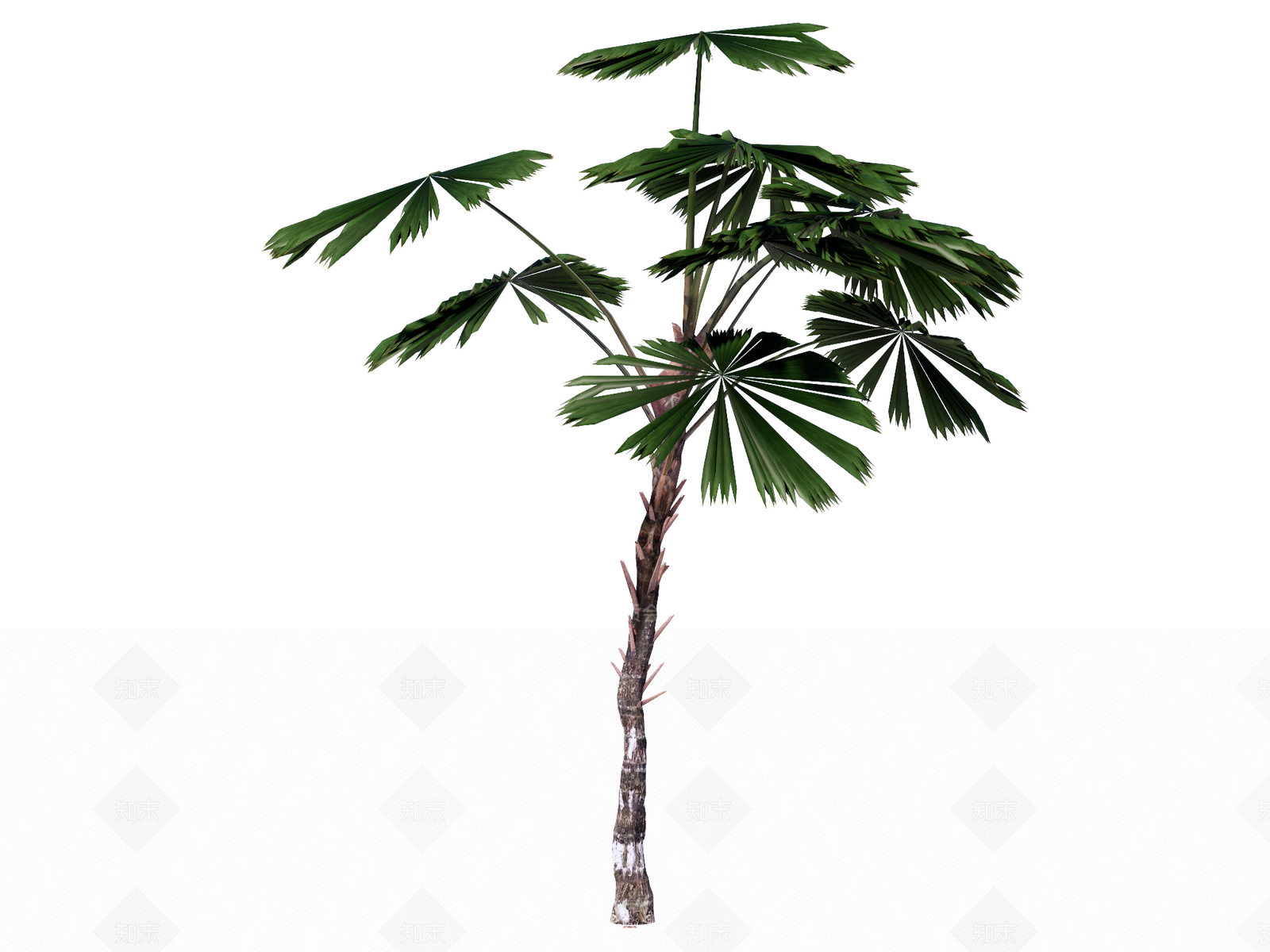 乔木SU模型下载【ID:1234626950】