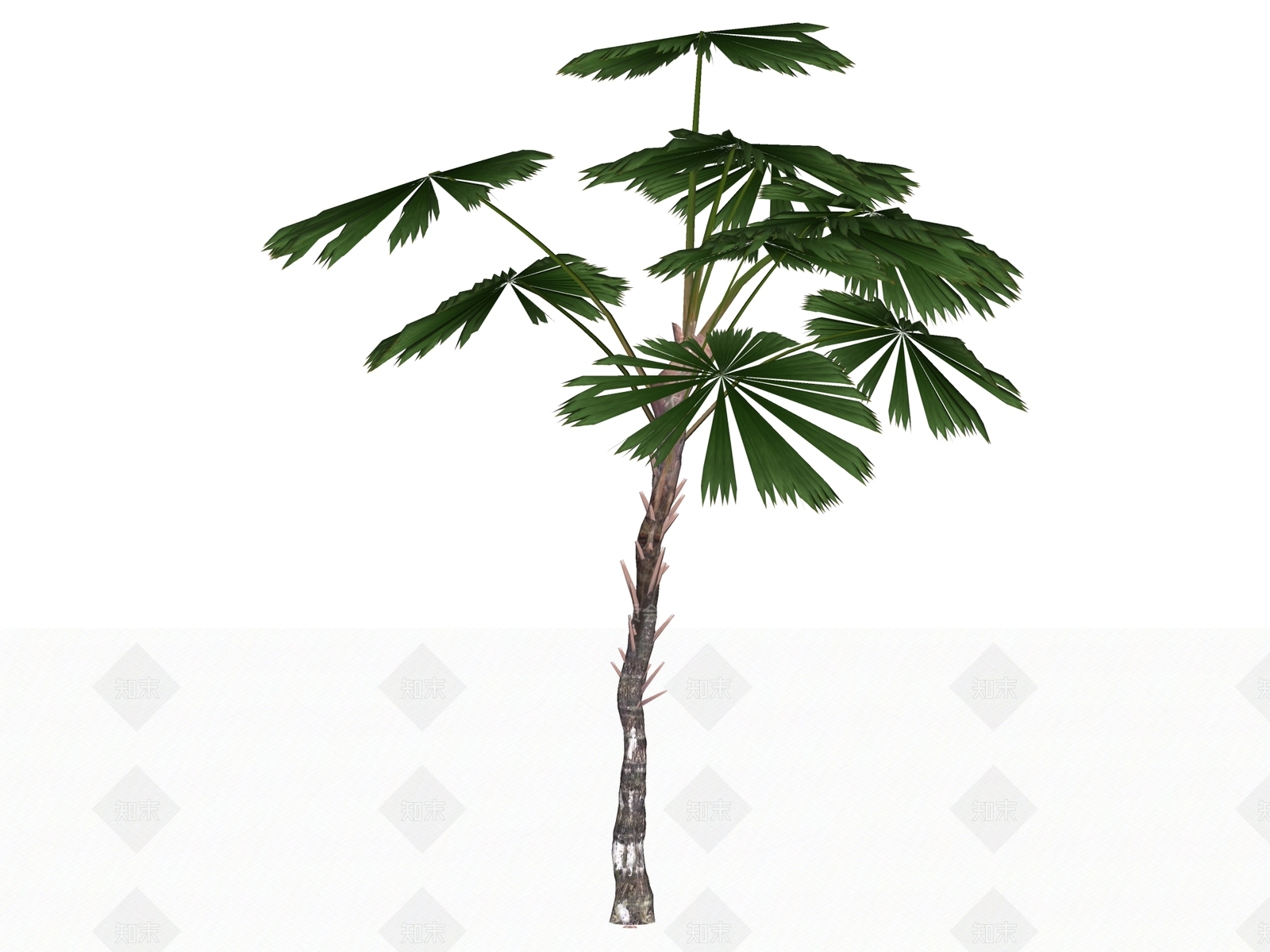 乔木SU模型下载【ID:1234626950】