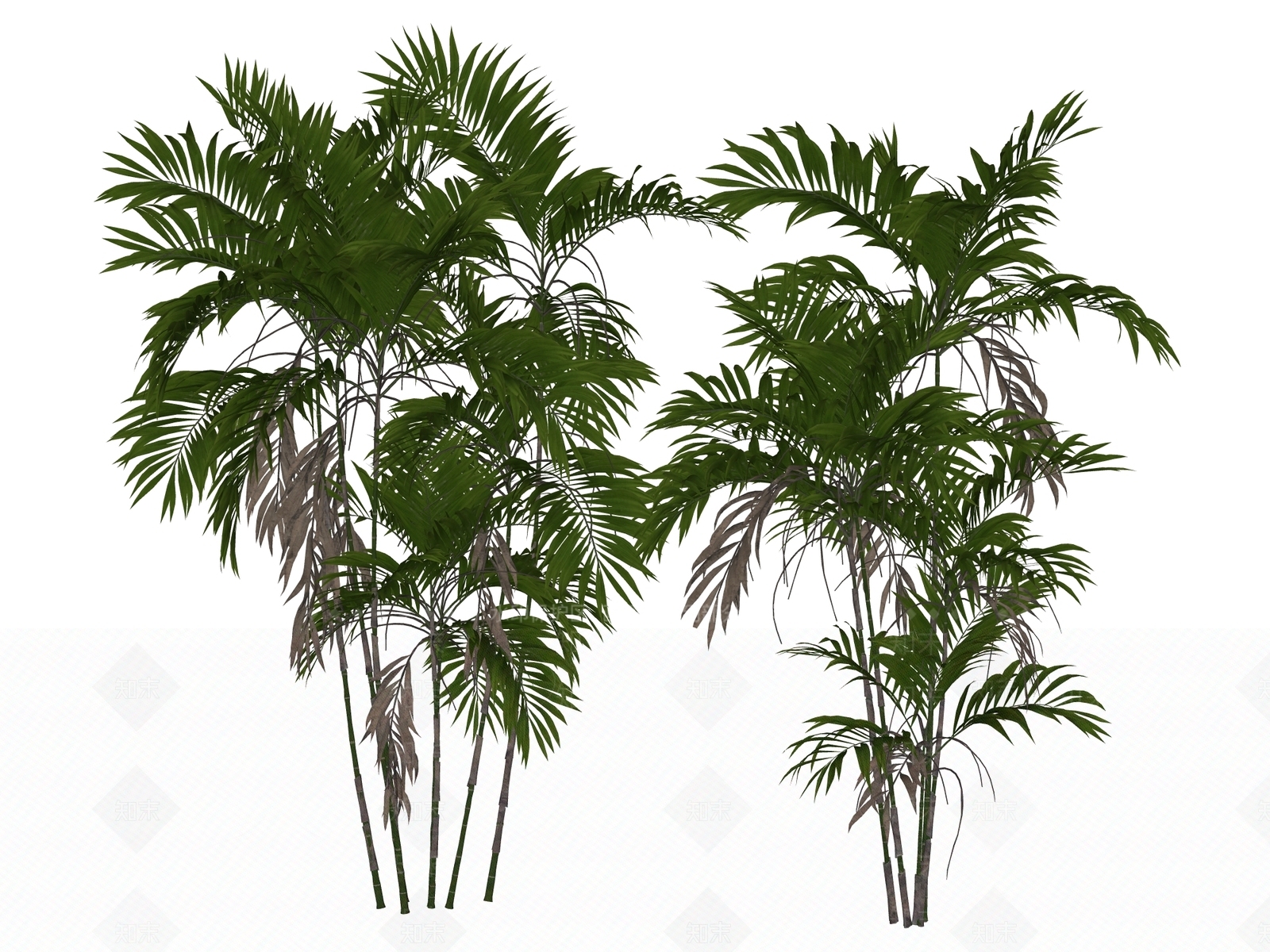 灌木SU模型下载【ID:1234626923】