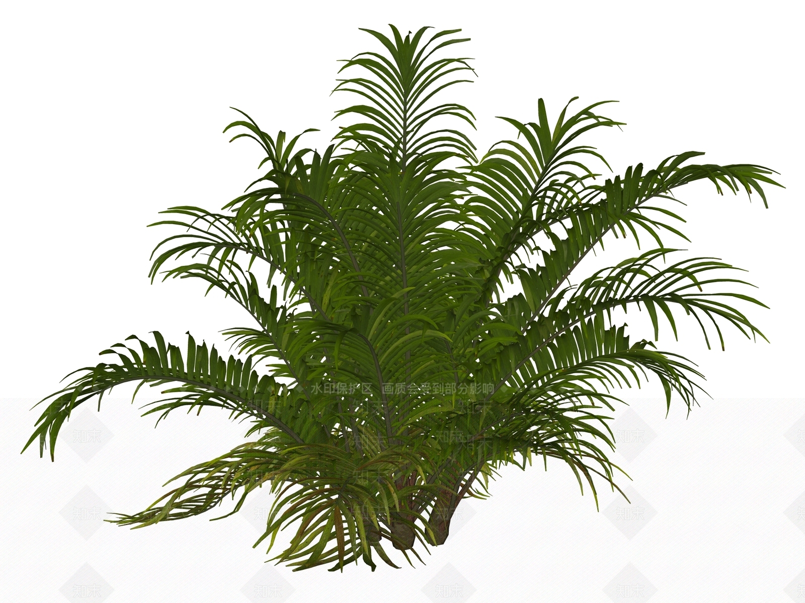 灌木SU模型下载【ID:1234626964】