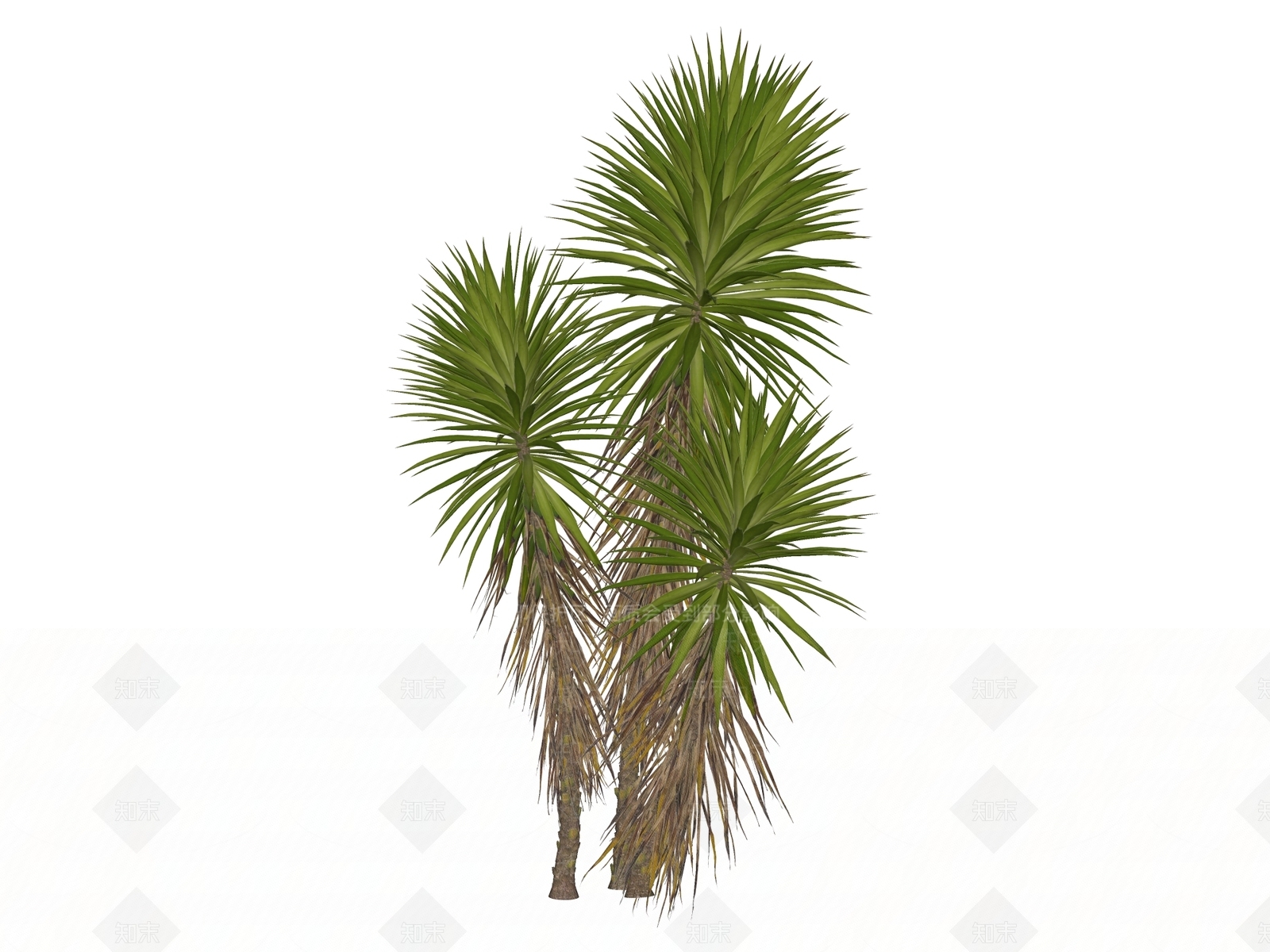 灌木SU模型下载【ID:1234627072】
