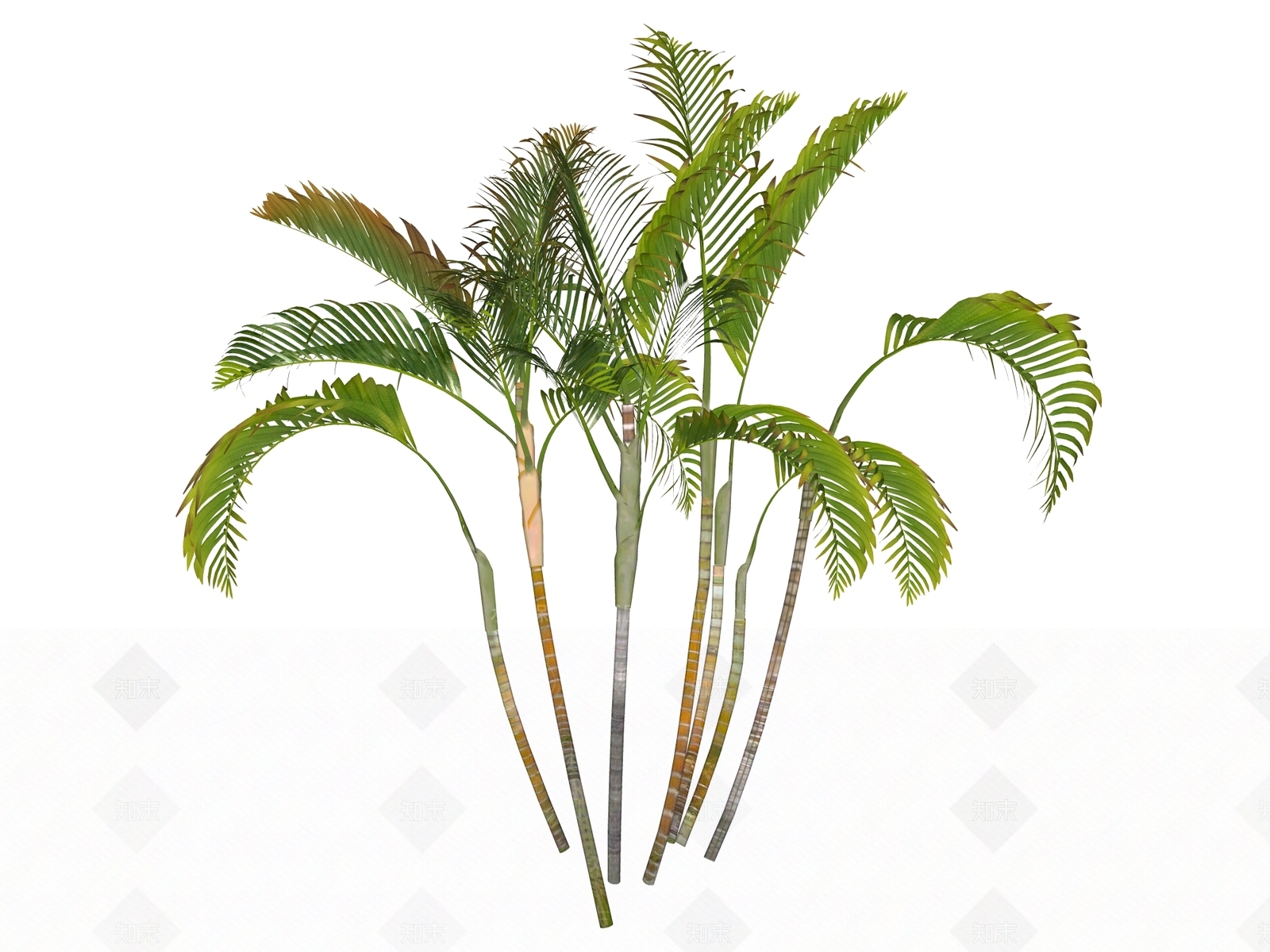 灌木SU模型下载【ID:1234627240】