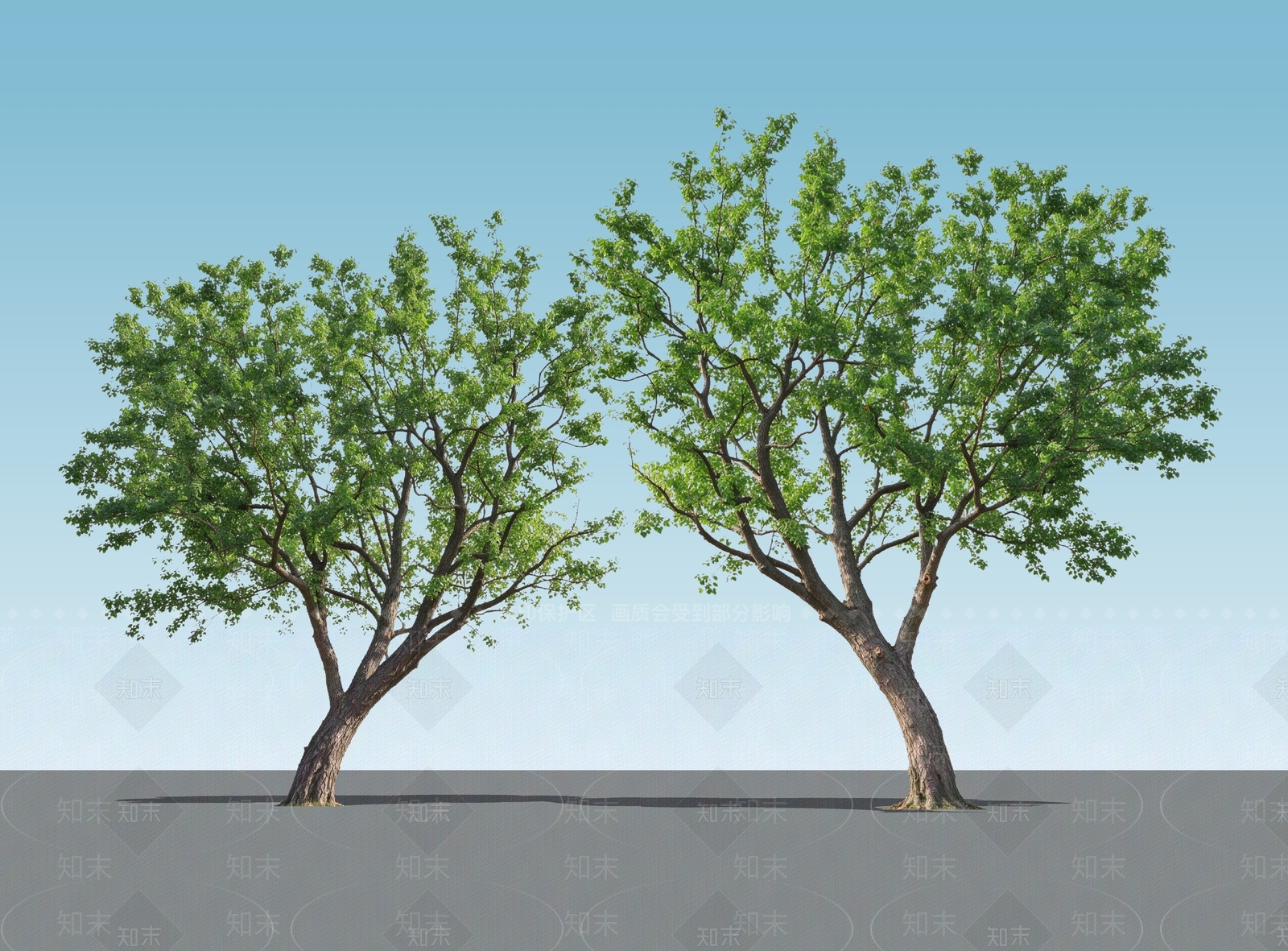 乔木SU模型下载【ID:1234633029】