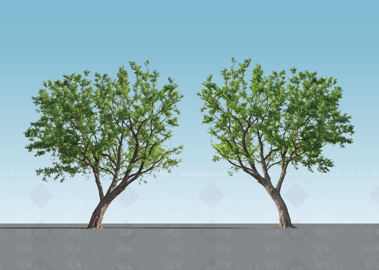乔木SU模型下载【ID:1234633029】