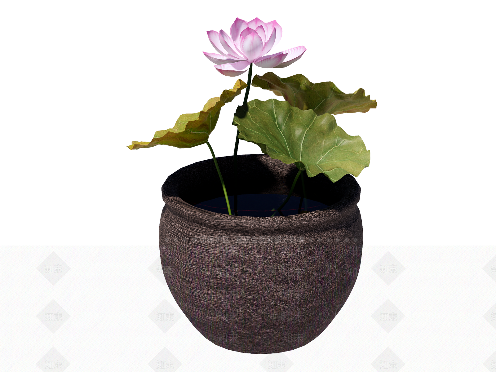 新中式水生植物SU模型下载【ID:1234639921】