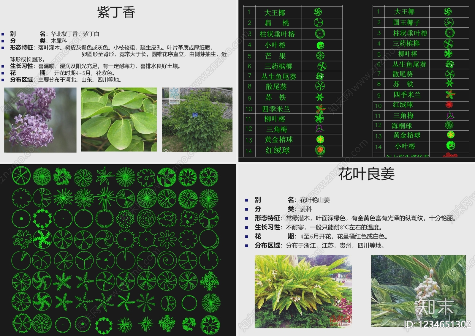 综合景观图库cad施工图下载【ID:1234651302】