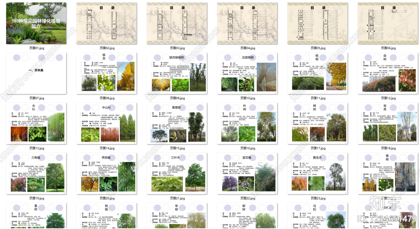 综合景观图库cad施工图下载【ID:1234651479】