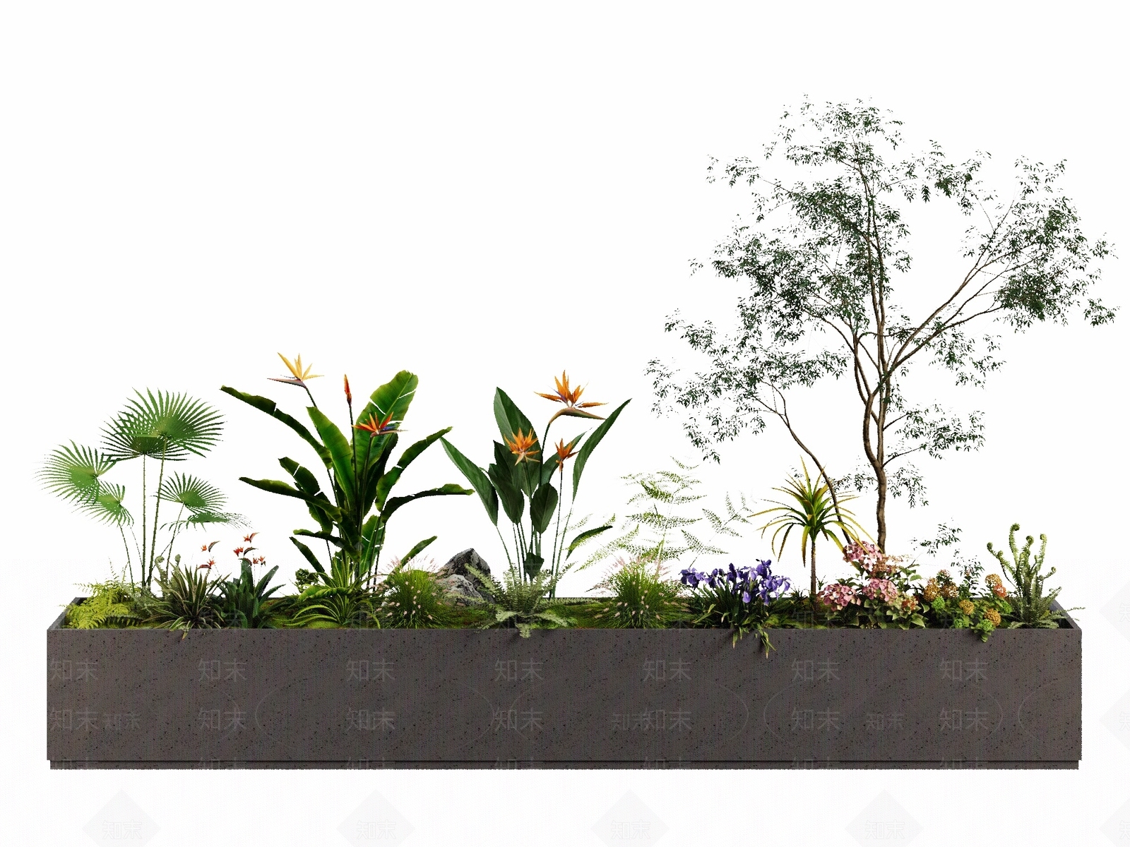 现代花草组合3D模型渲染效果图
