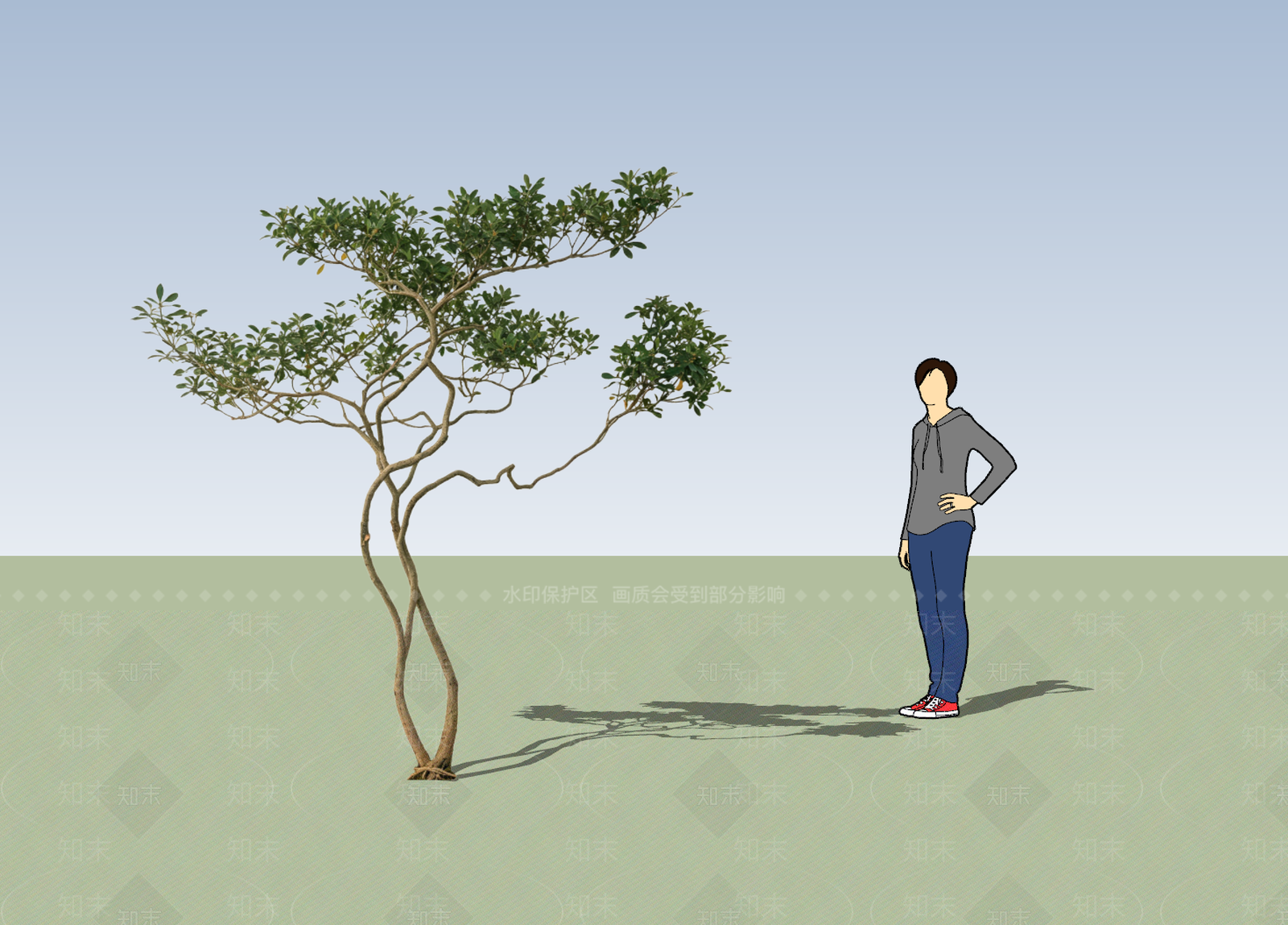 新中式景观灌木SU模型草图