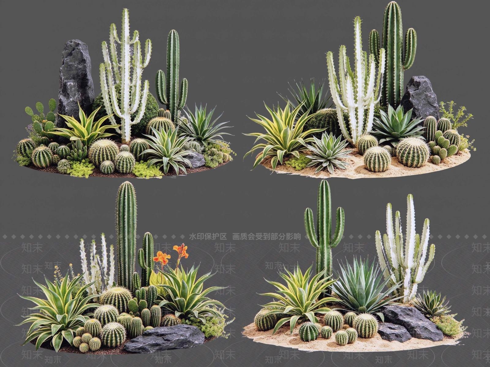 现代主义沙漠植物SU模型下载【ID:1234707997】