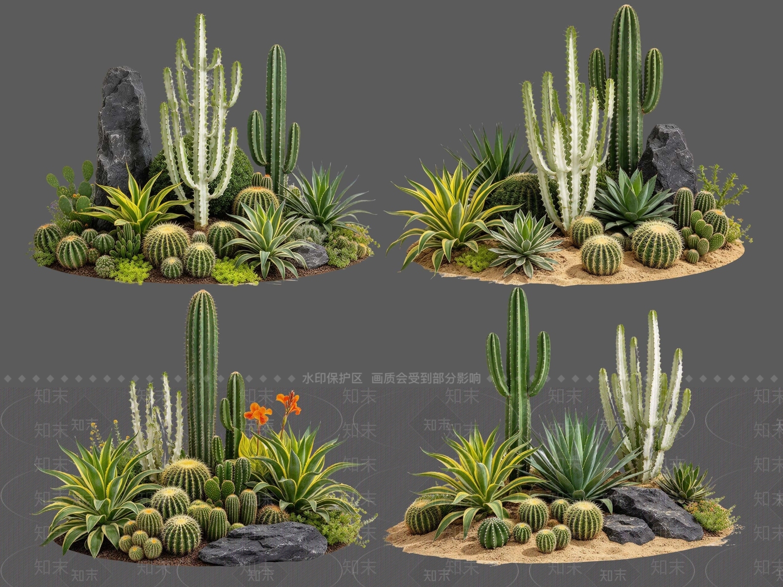 现代主义沙漠植物SU模型下载【ID:1234707997】