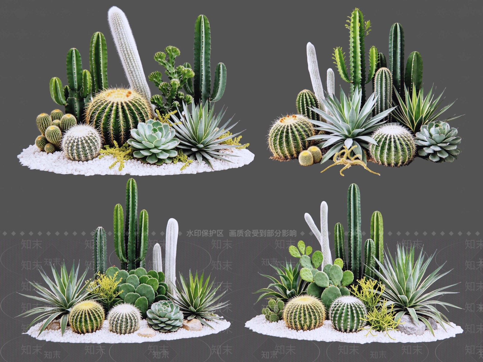 现代沙漠植物SU模型下载【ID:1234708081】