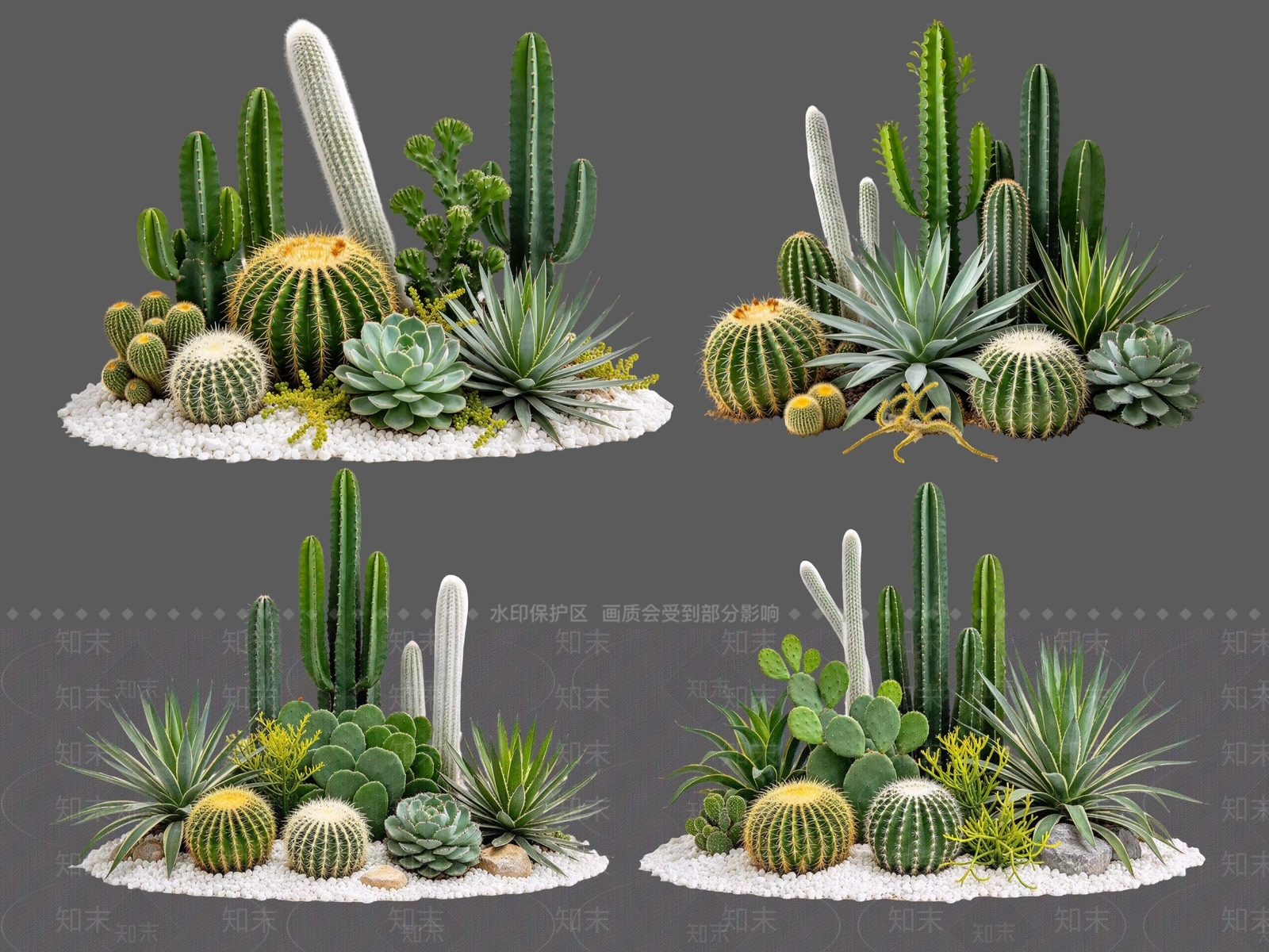 现代沙漠植物SU模型下载【ID:1234708081】