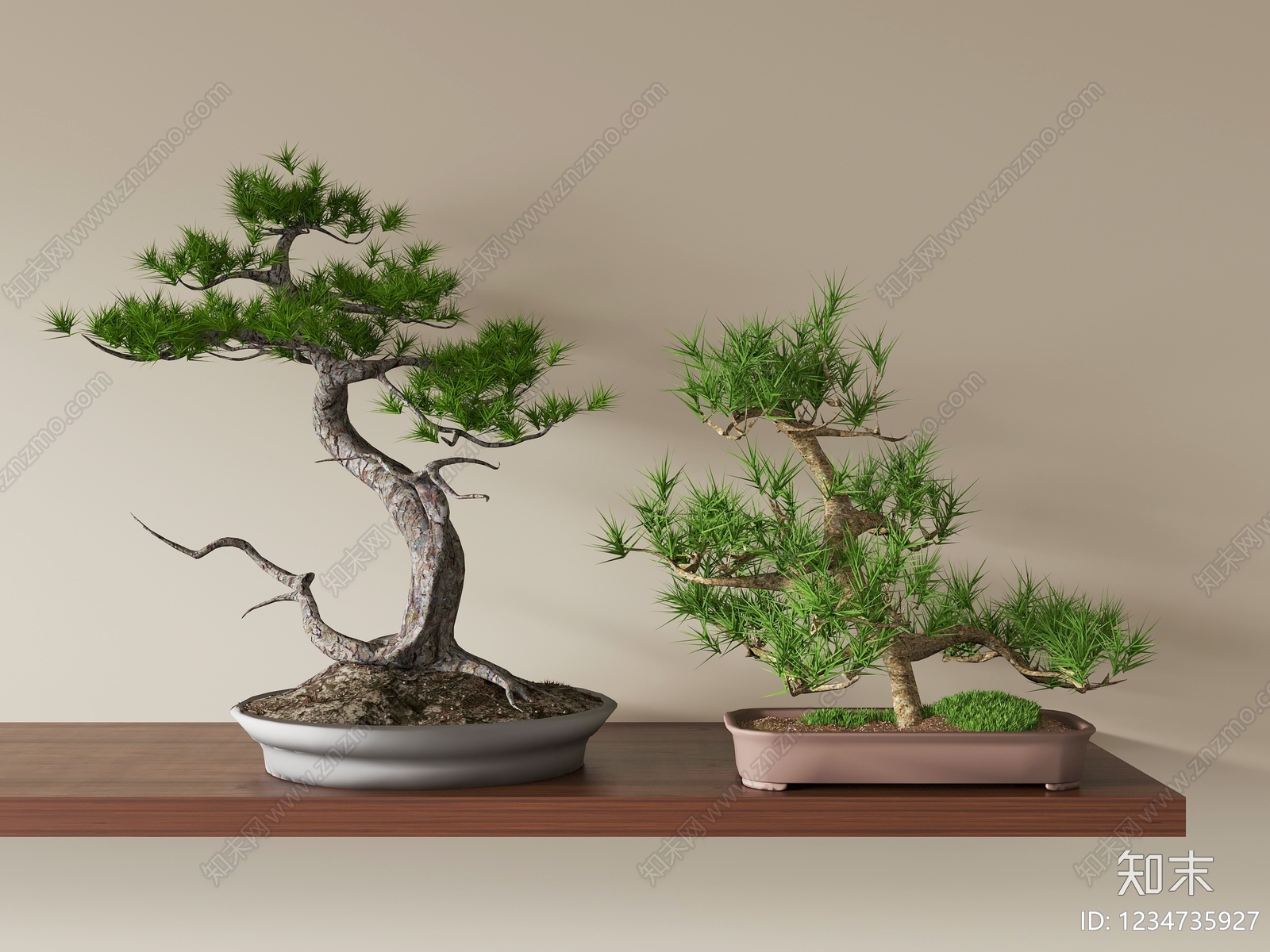 禅意盆景3D模型渲染效果图