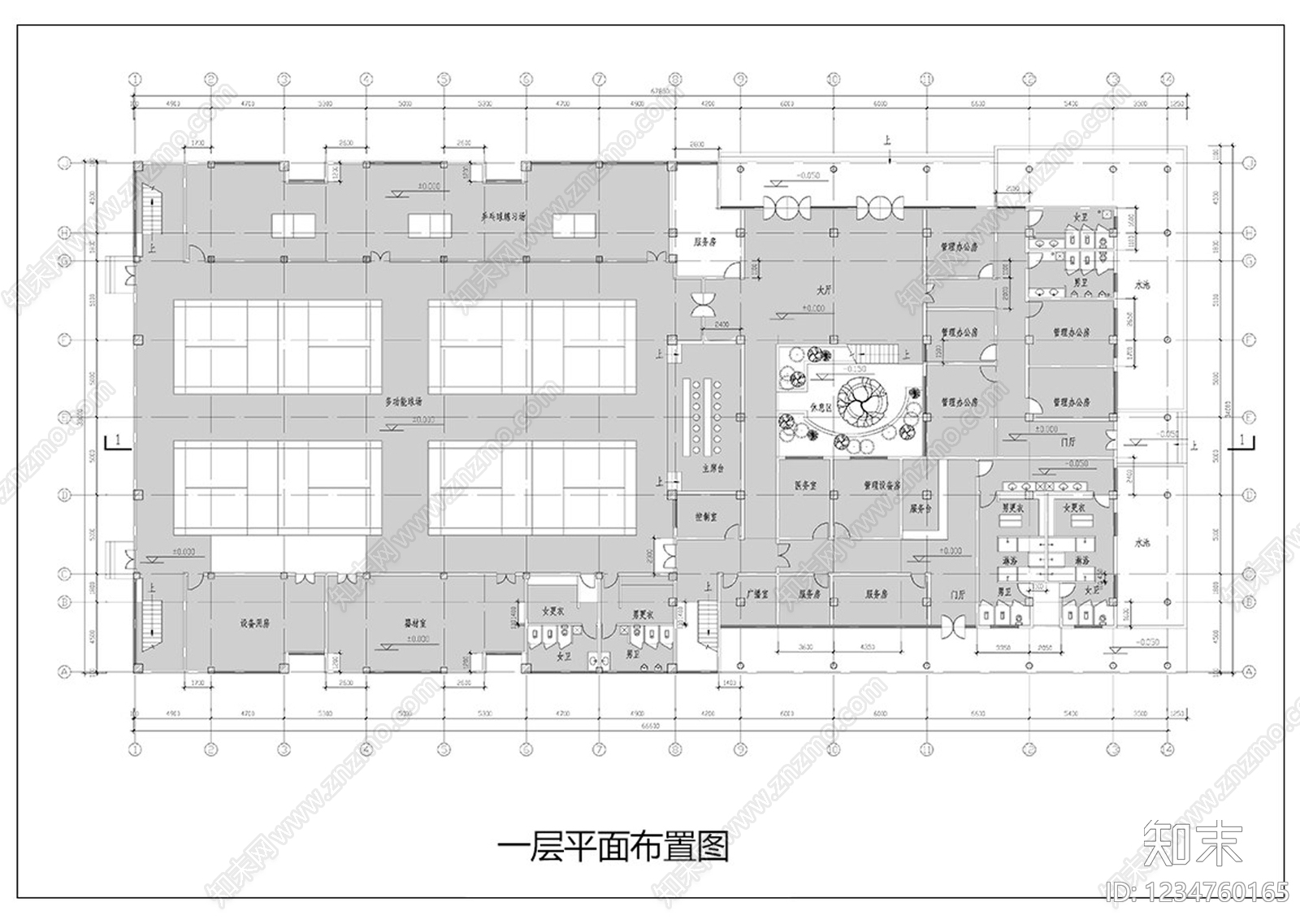 体育馆CAD图纸
