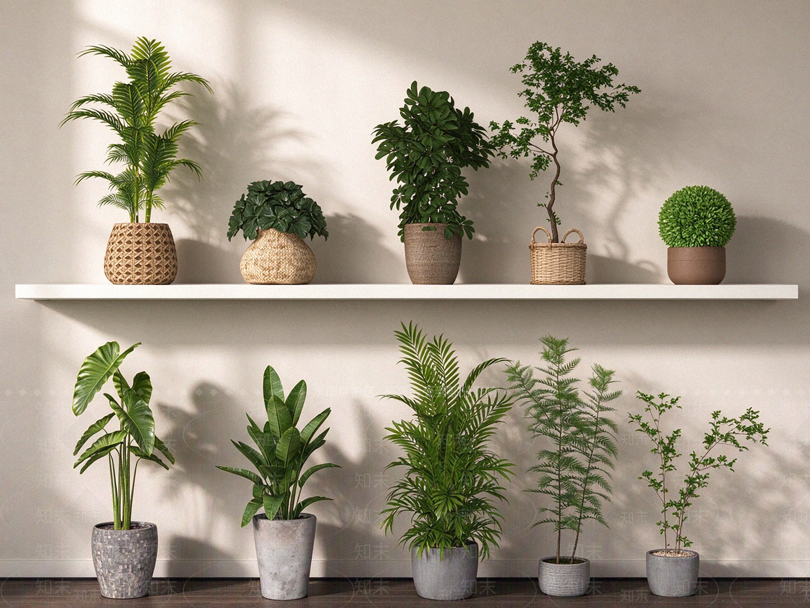 现代简约植物组合SU模型下载【ID:1234762204】