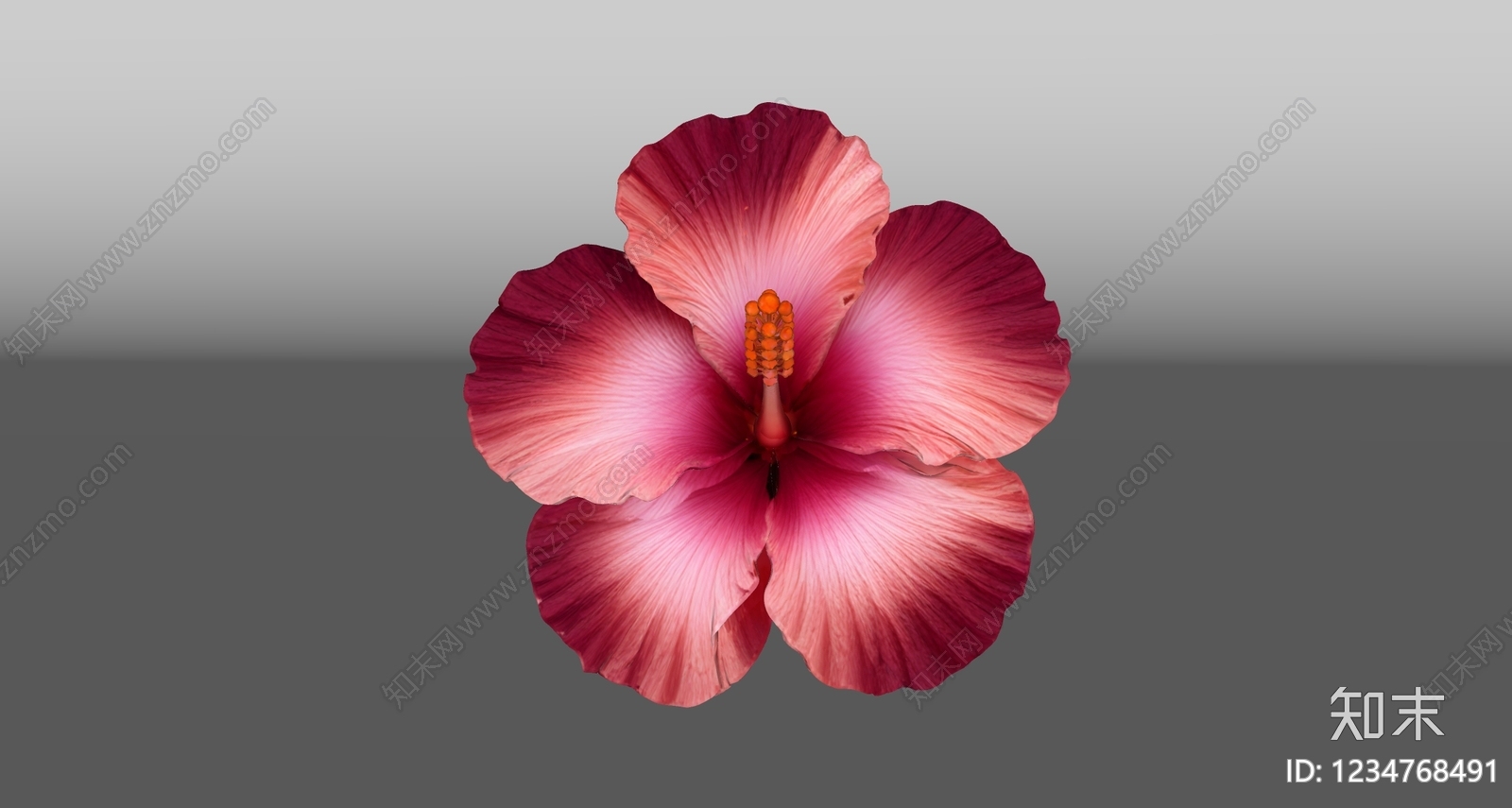 花草SU模型下载【ID:1234768491】