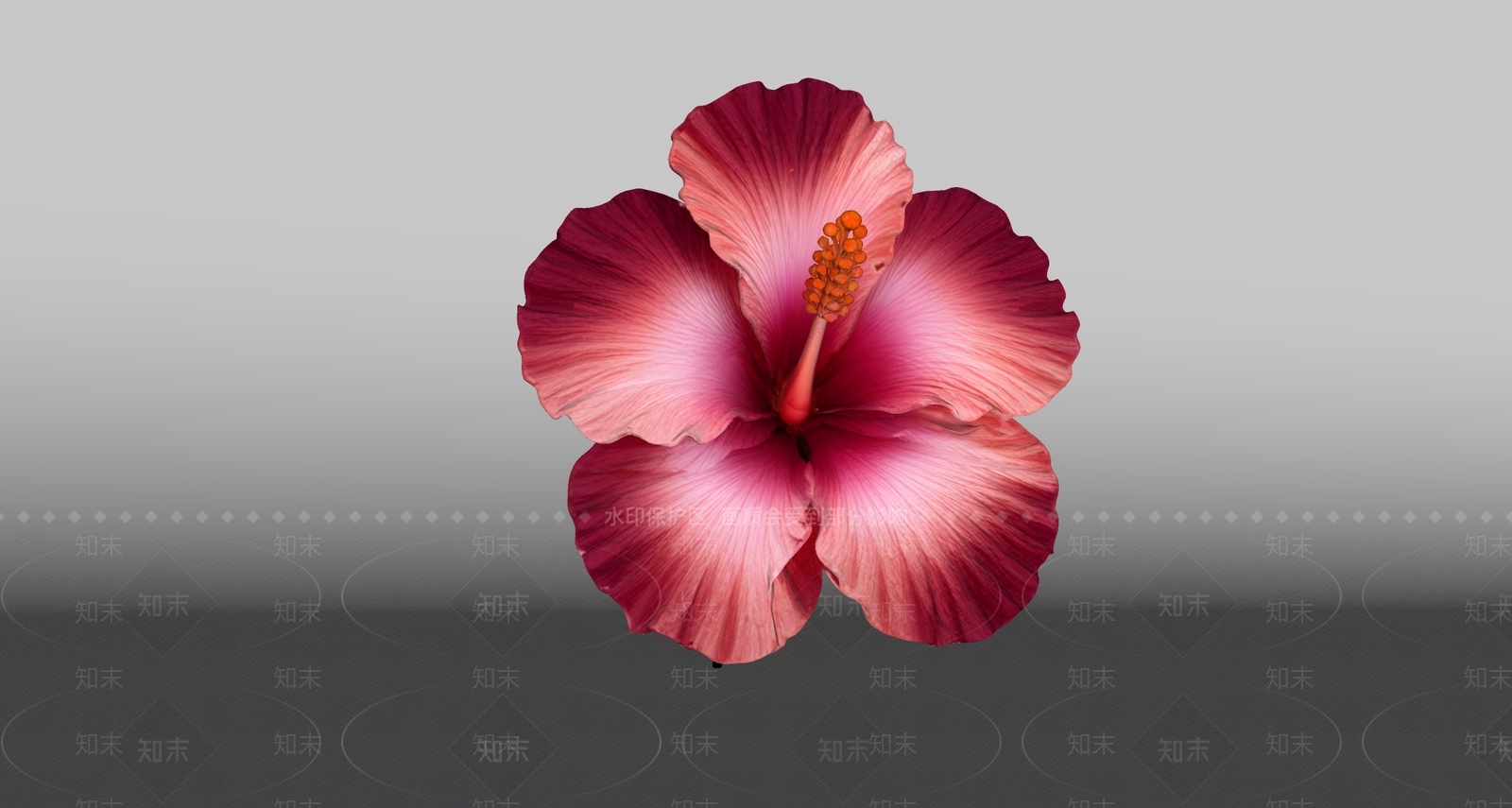 花草SU模型下载【ID:1234768491】