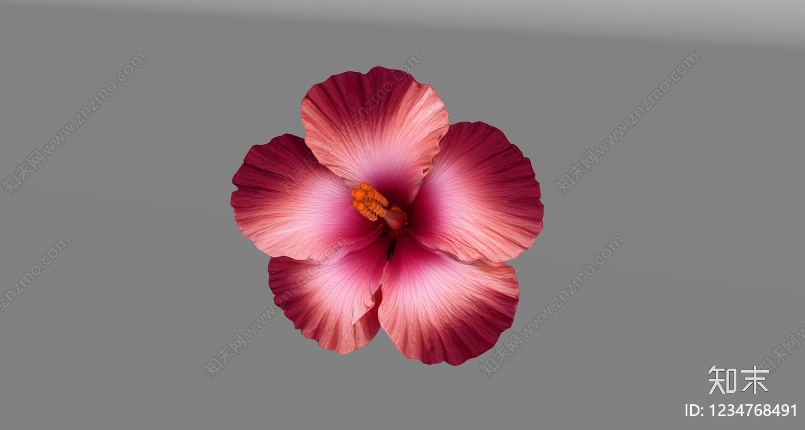 花草SU模型下载【ID:1234768491】