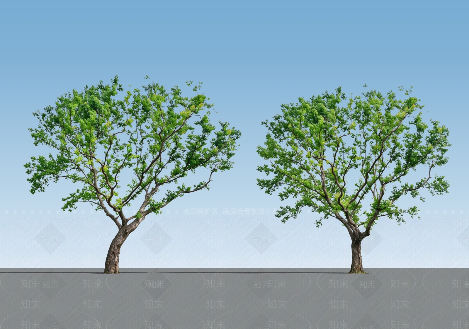 乔木SU模型下载【ID:1234792822】