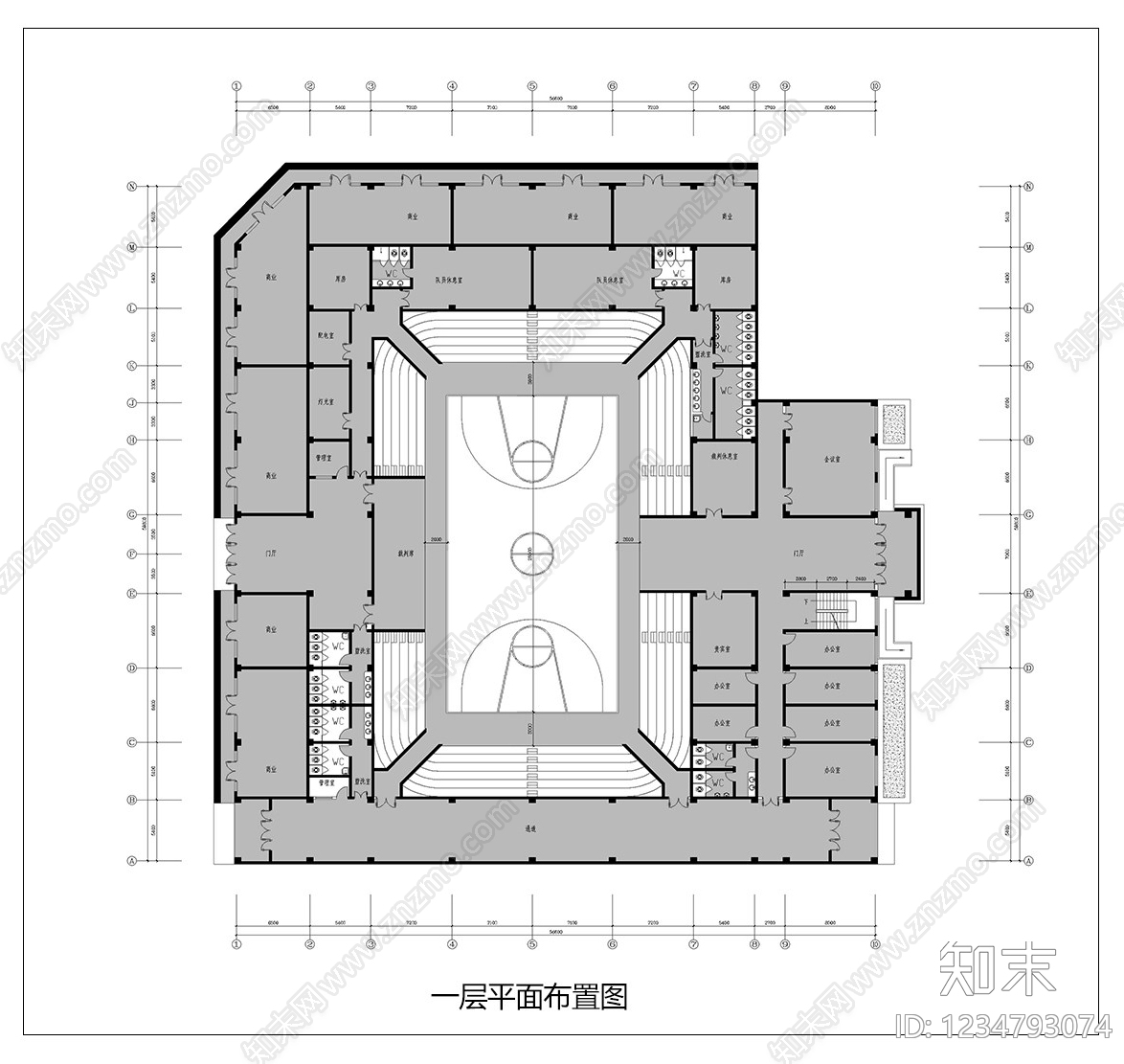 体育馆CAD图纸