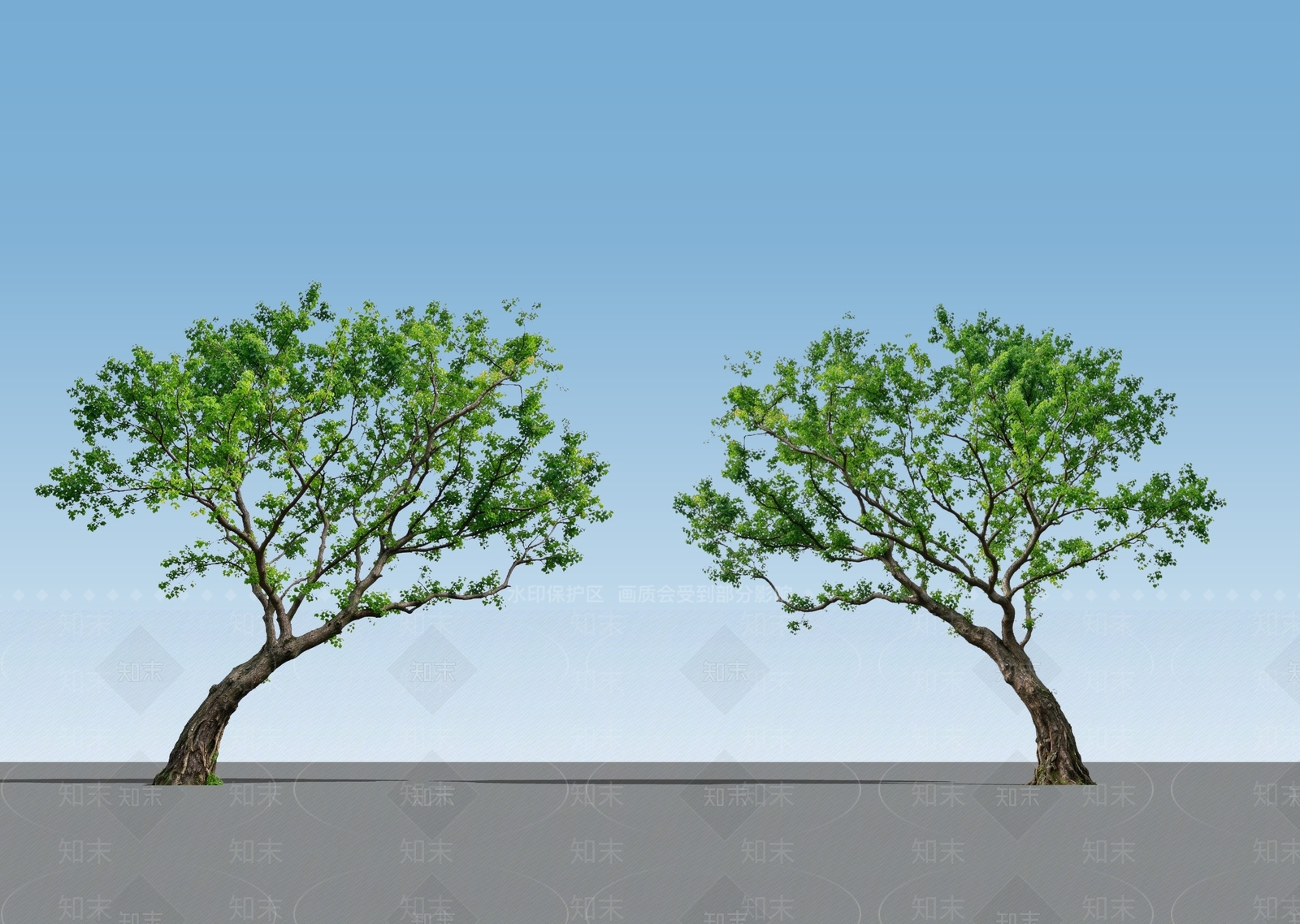 乔木SU模型下载【ID:1234794741】