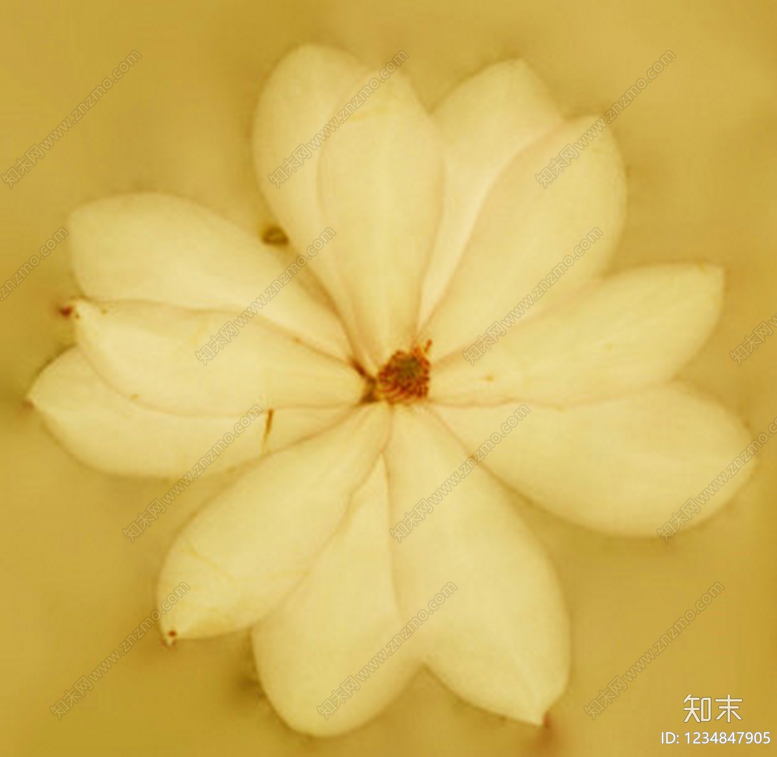 其他挂画贴图下载【ID:1234847905】